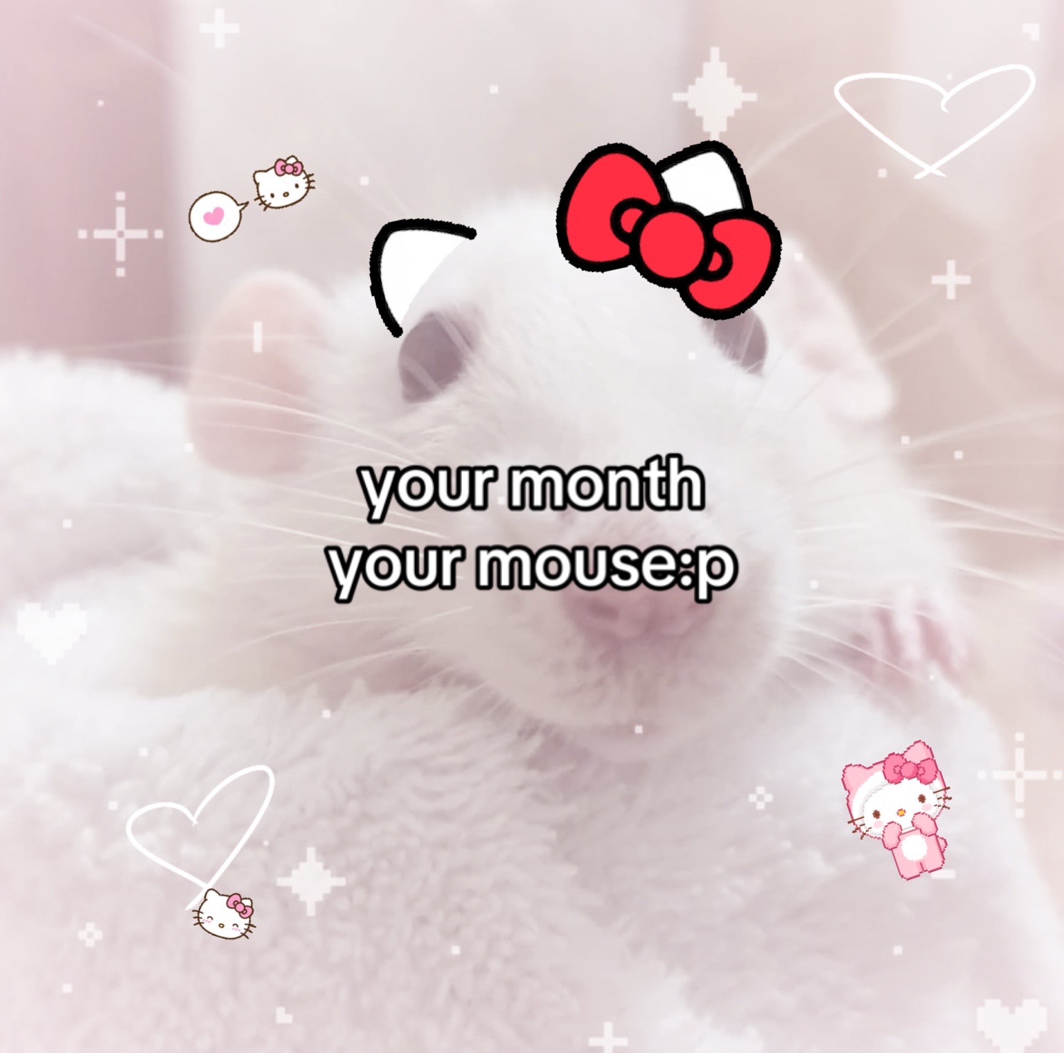@✩amelia࿐
