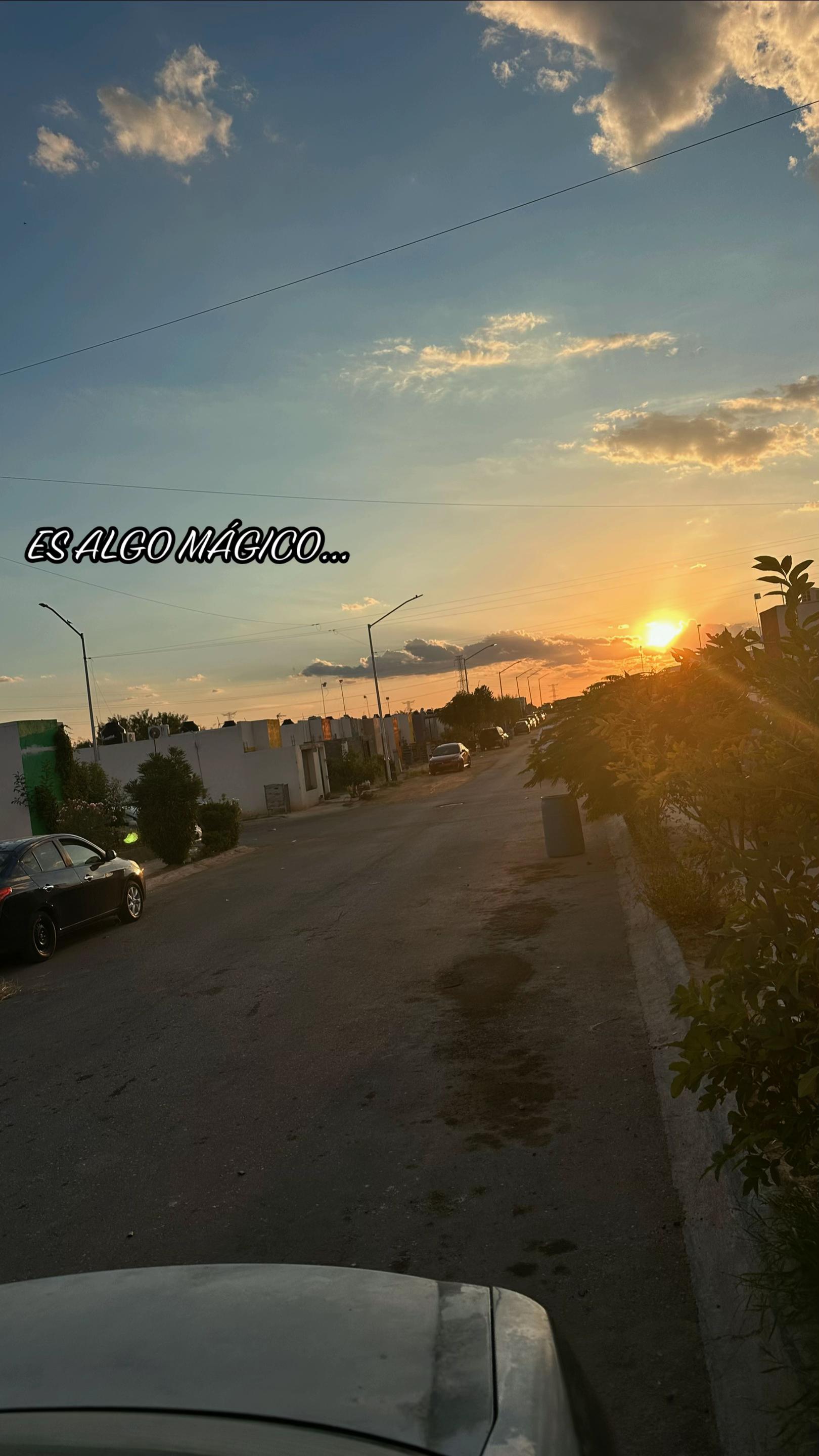 @𝓛𝓪𝓾𝓻𝓪 ⟭⟬⁷