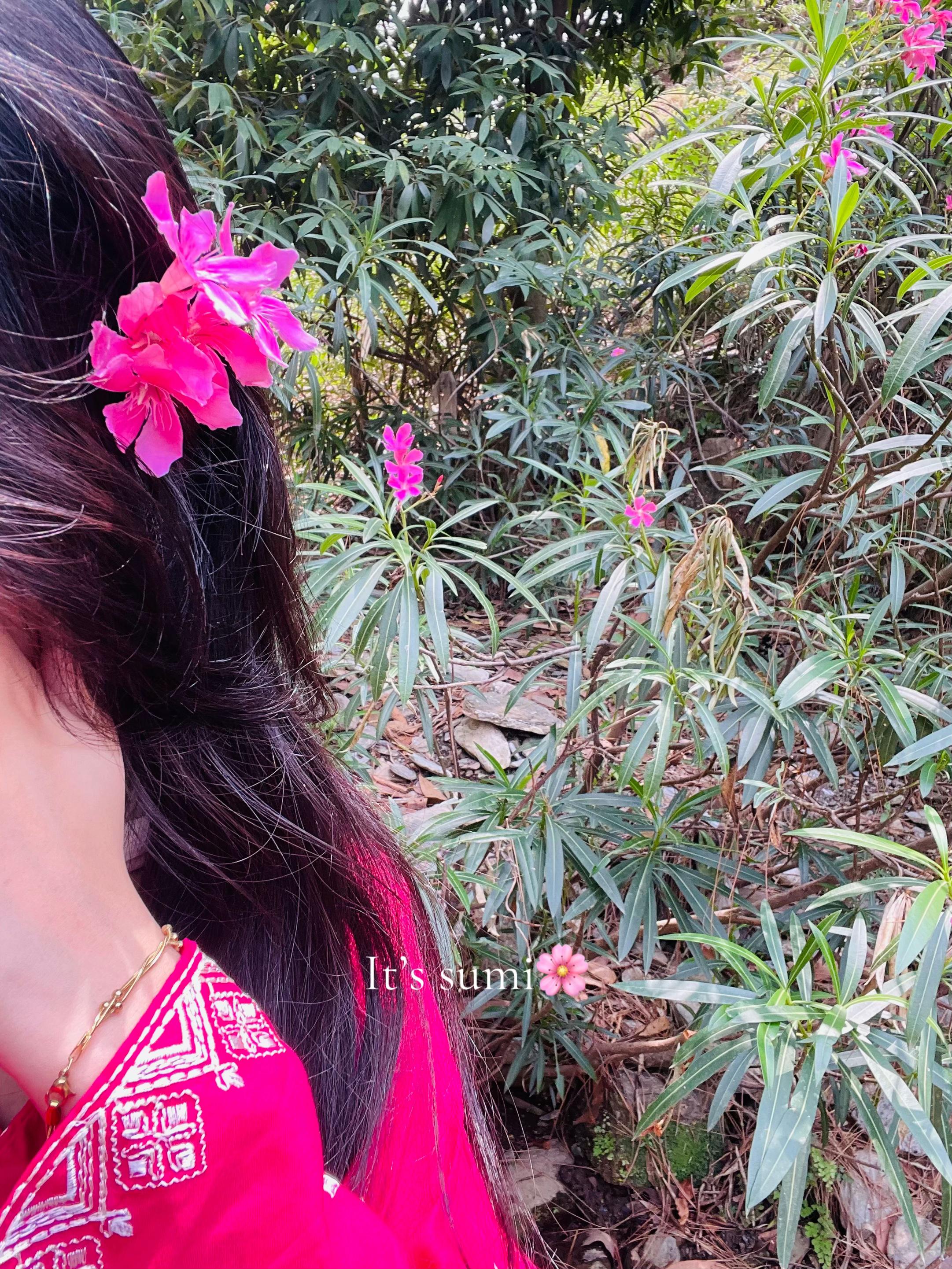 @𝑰𝒕𝒔 𝒔𝒖𝒎𝒊𝒊🌸🫶👀