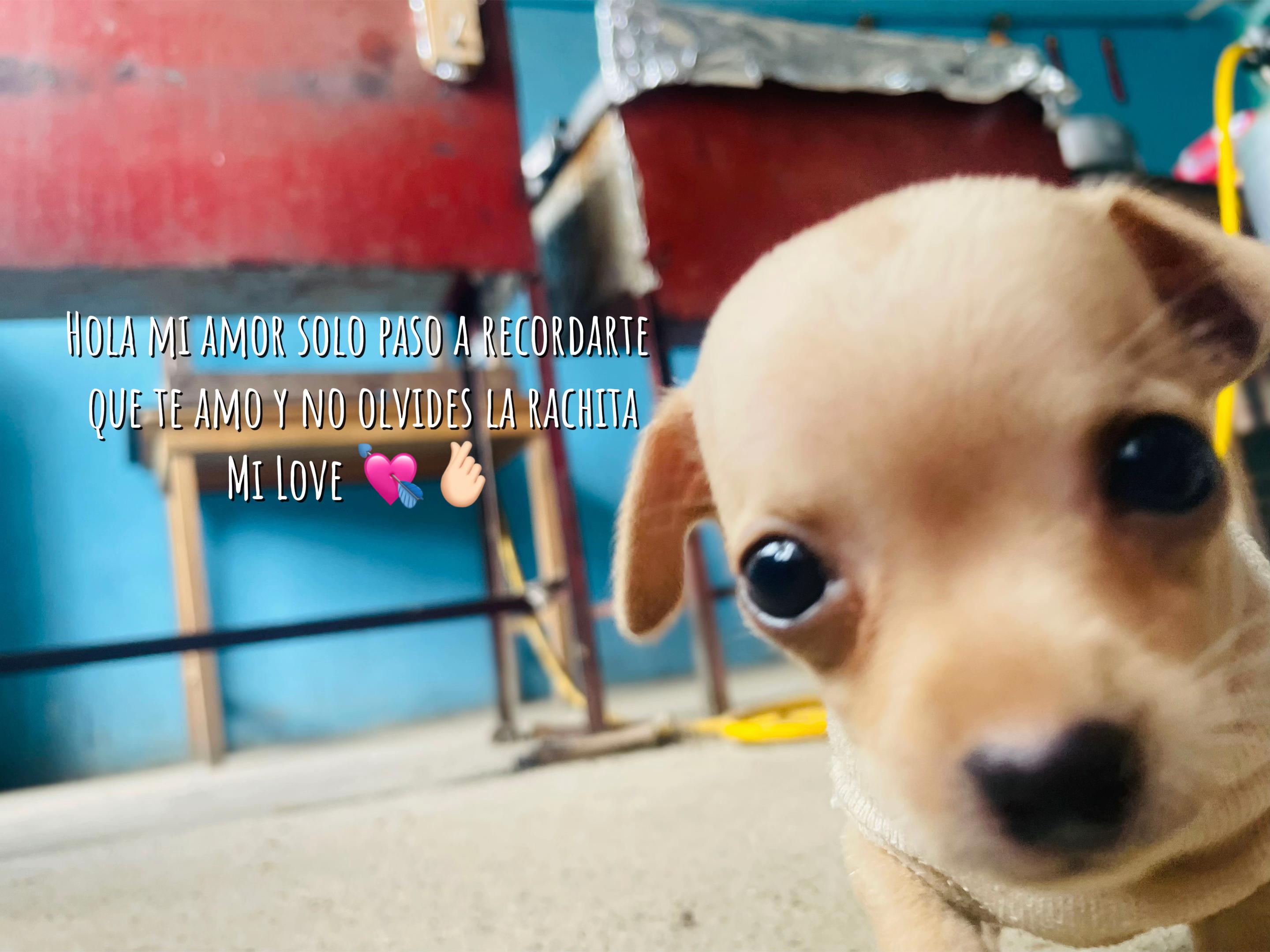 @Amo a J💘