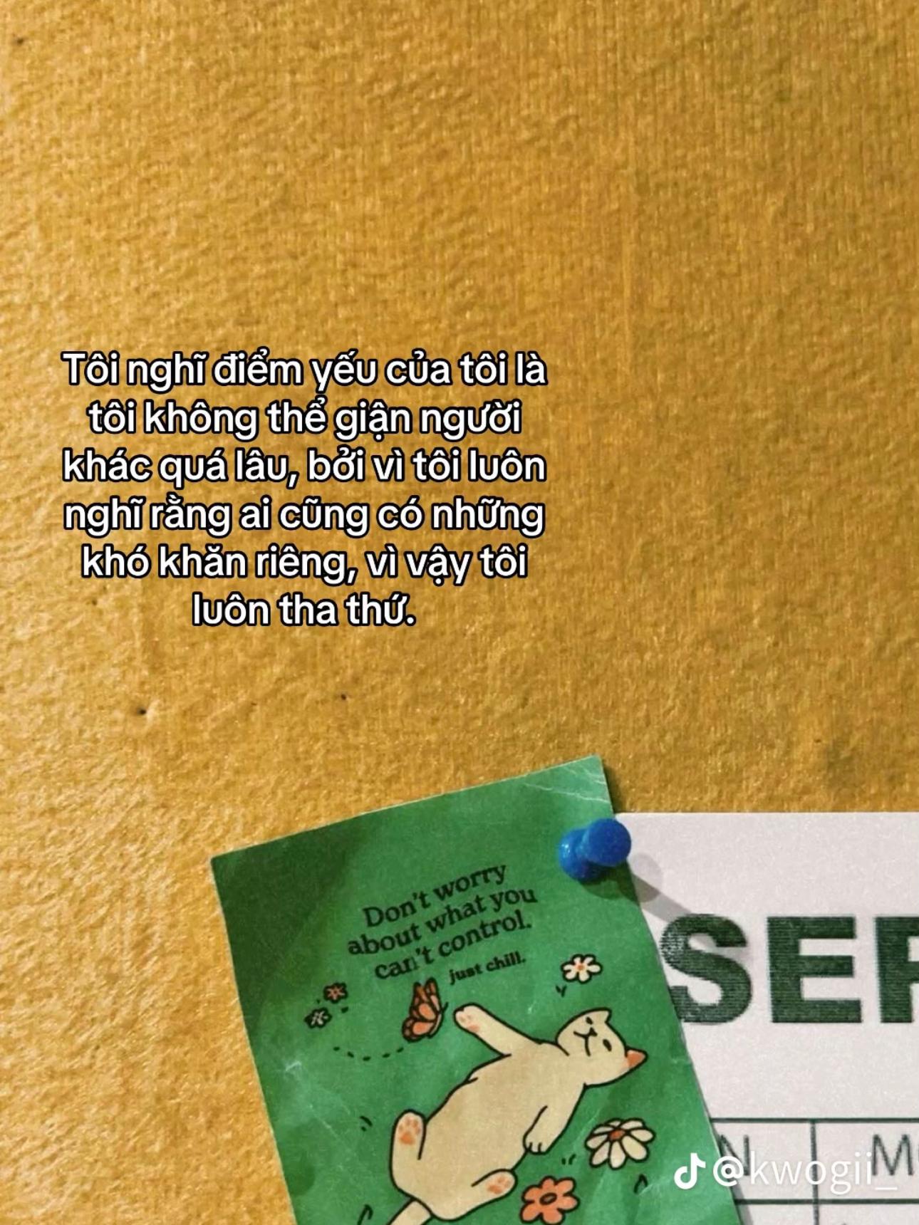 @🦕