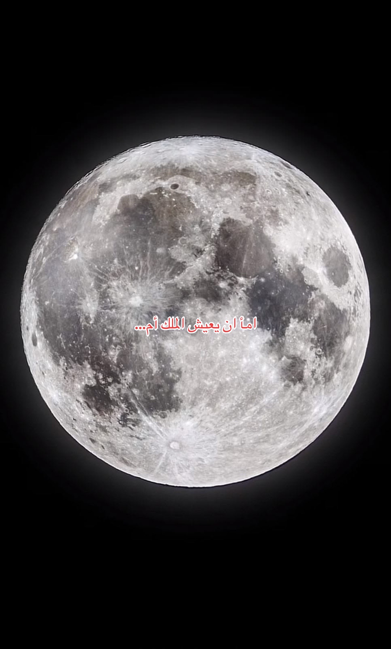 @🍊برتقال رياكشن🍊🇦🇪🇦🇪