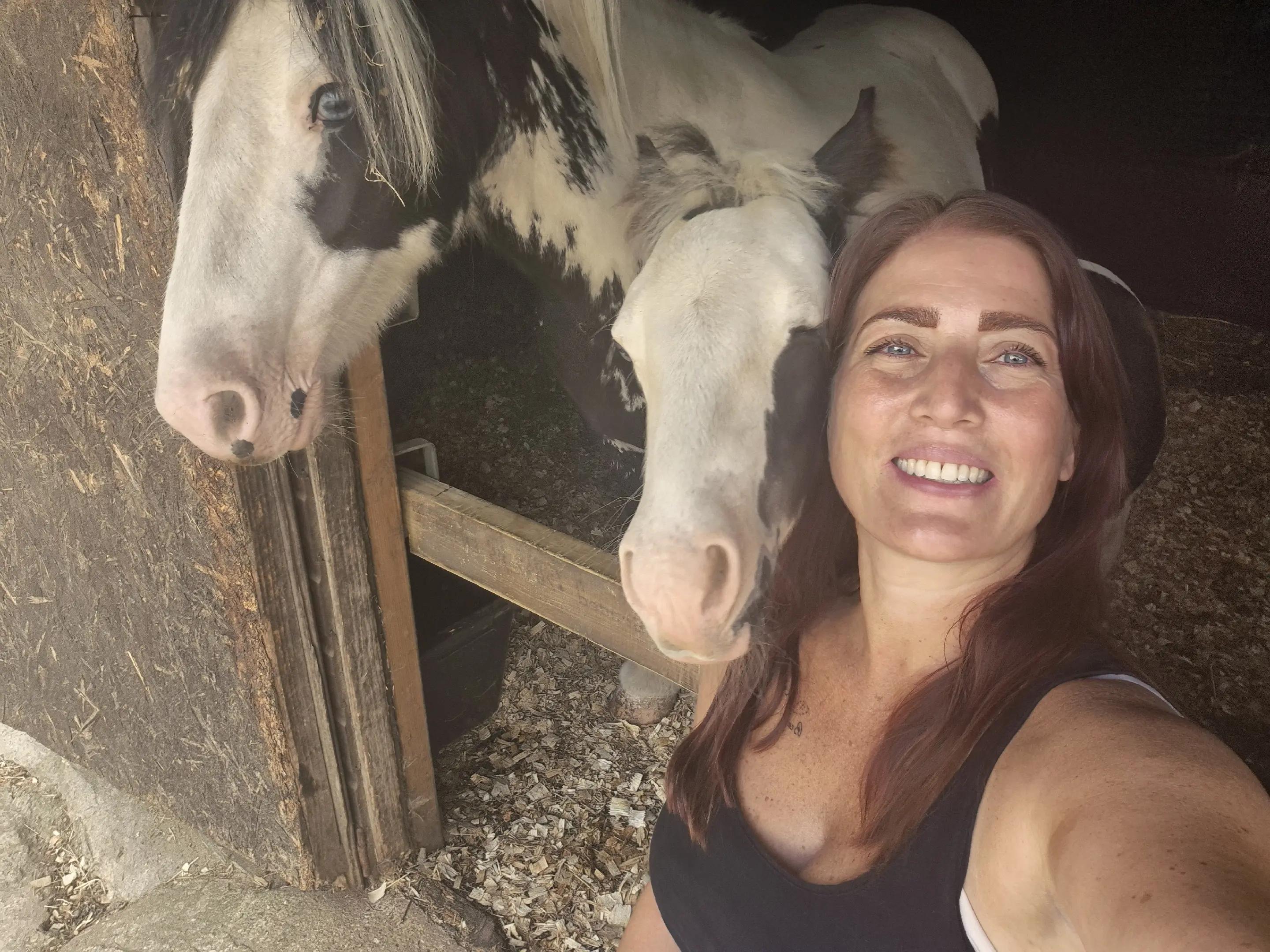 @Valgrays bc & animal rescue