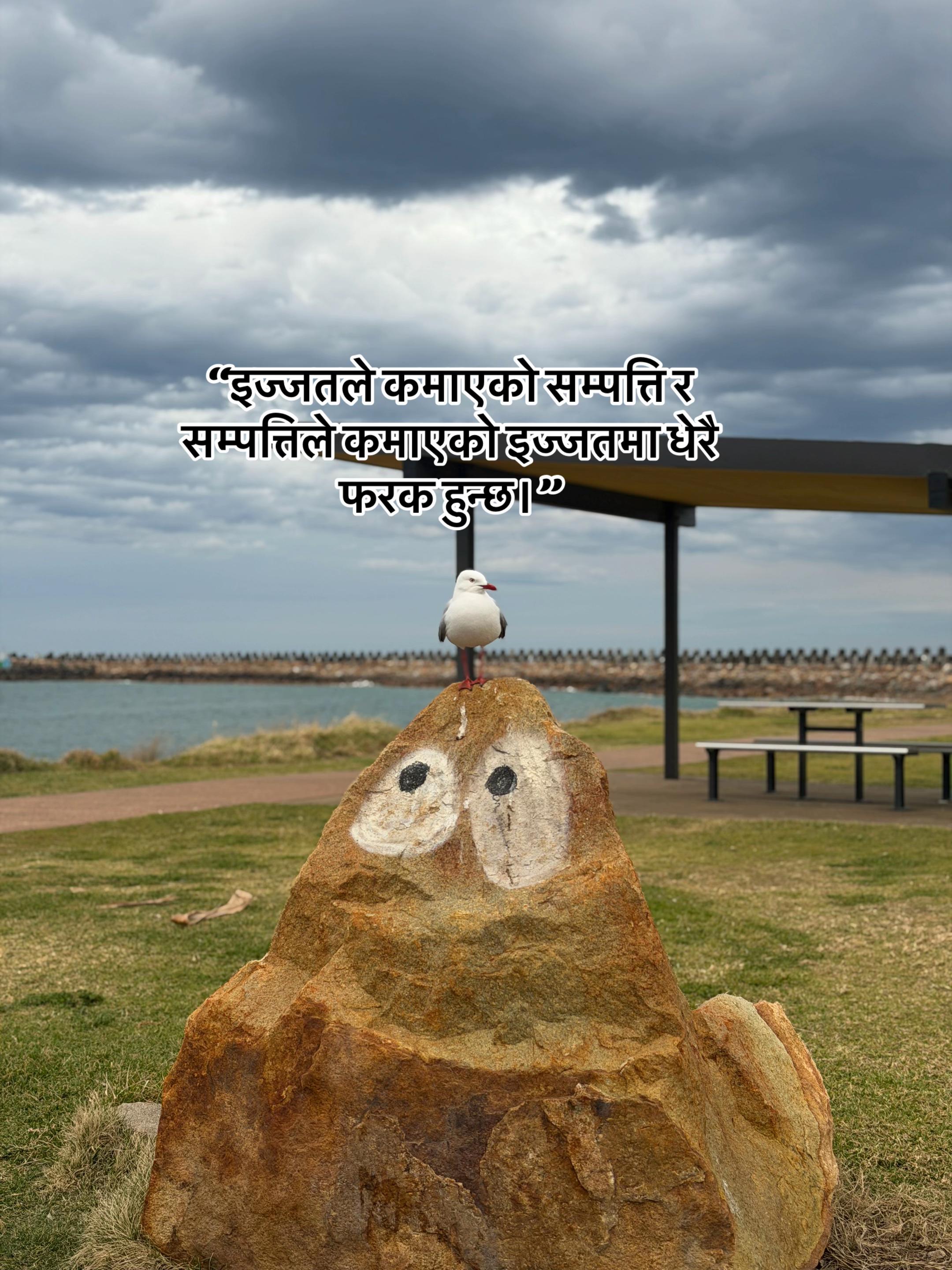 @Rohit yadav