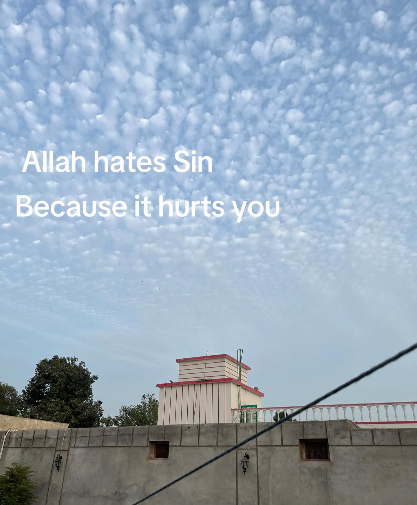 @☾⋆
