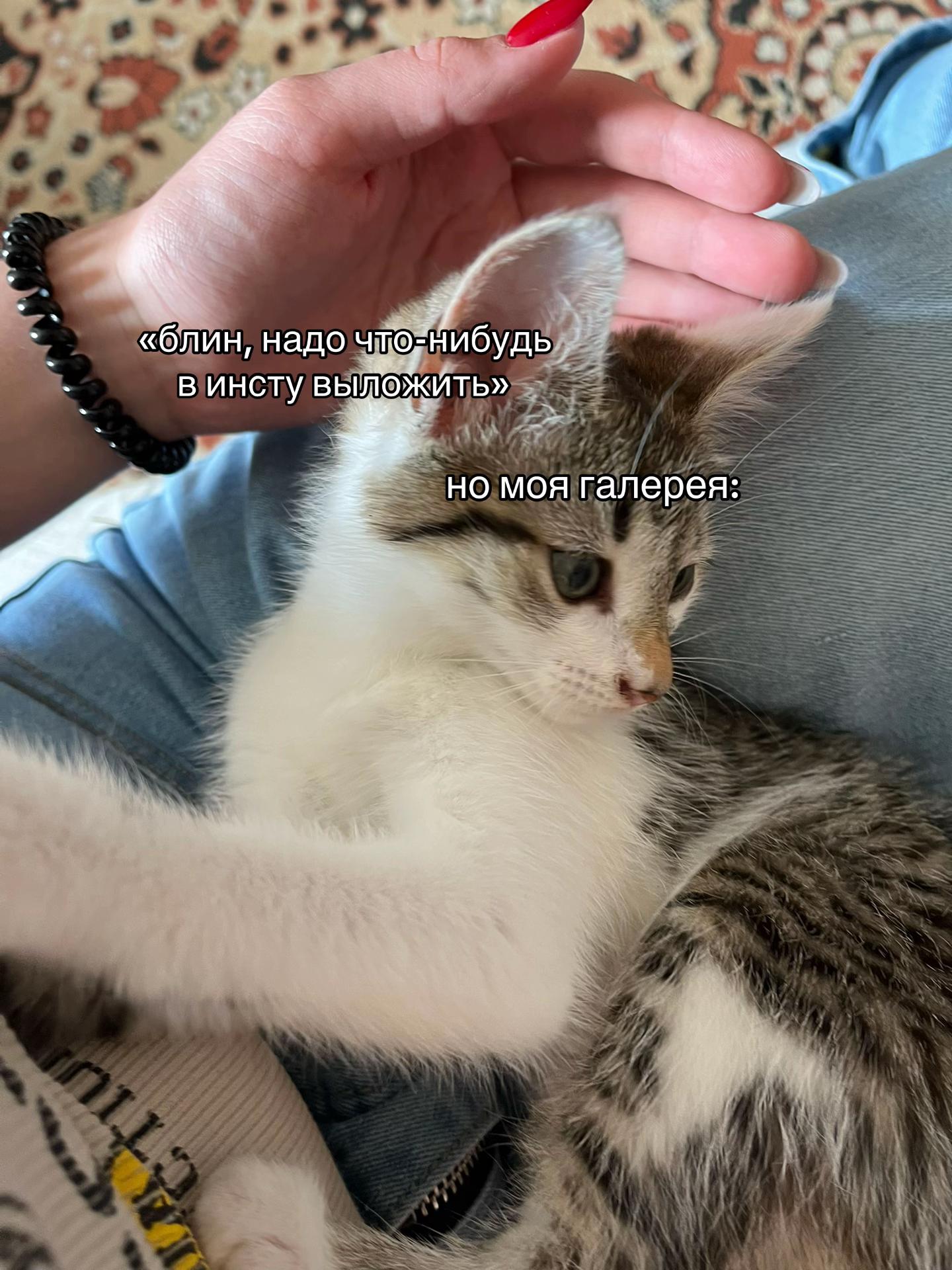 @пачка мефа★