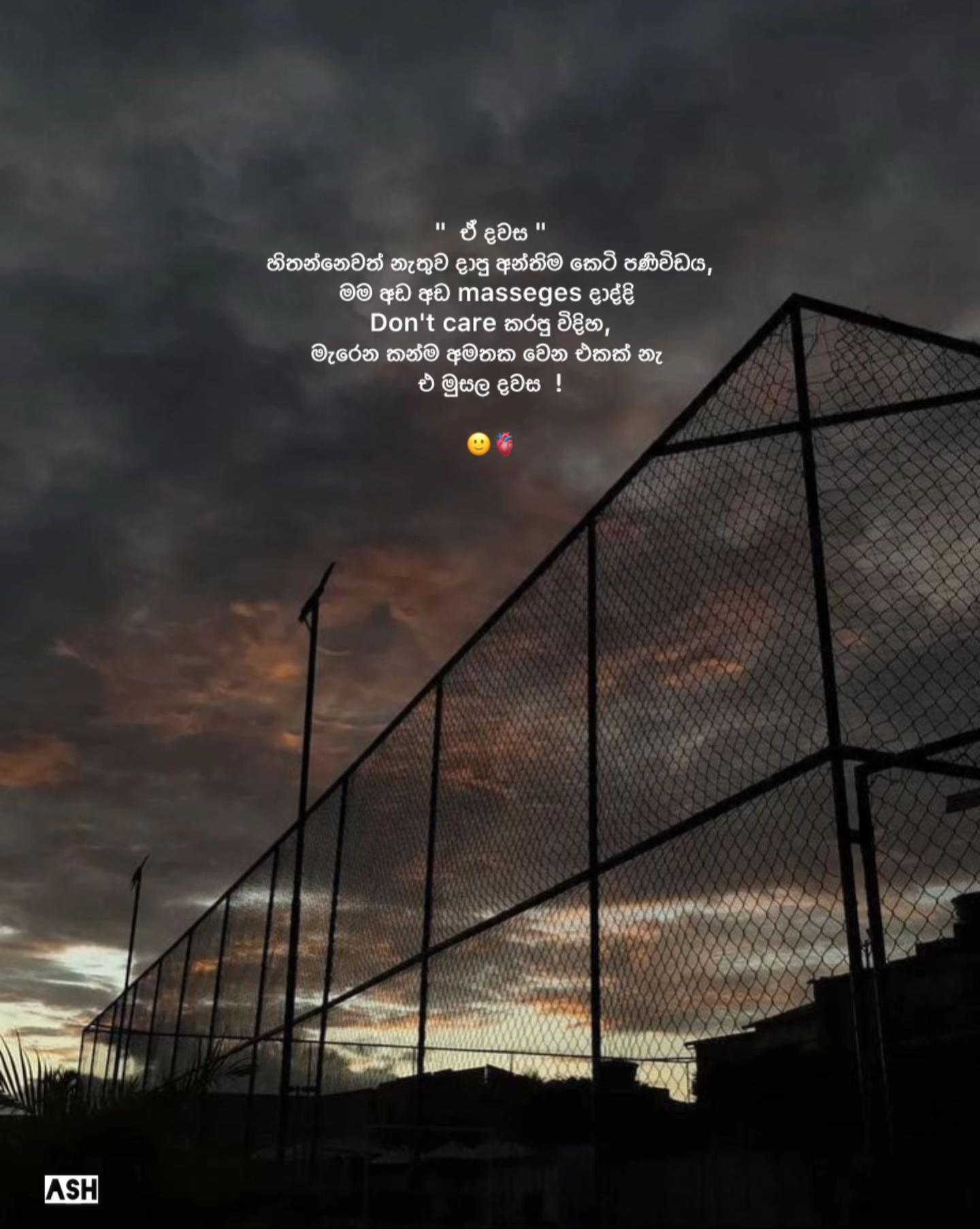 @अशिनी!|🦂