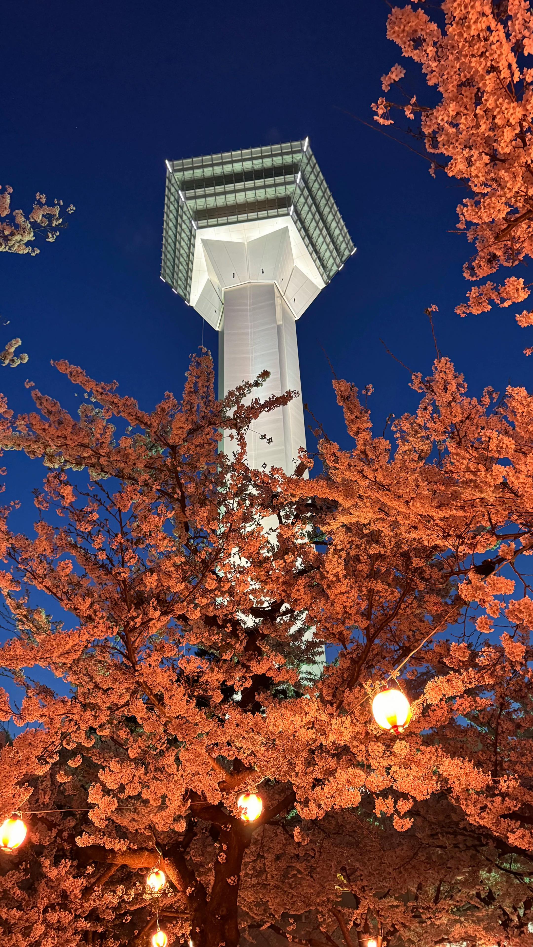 @wakilbupatisapporo