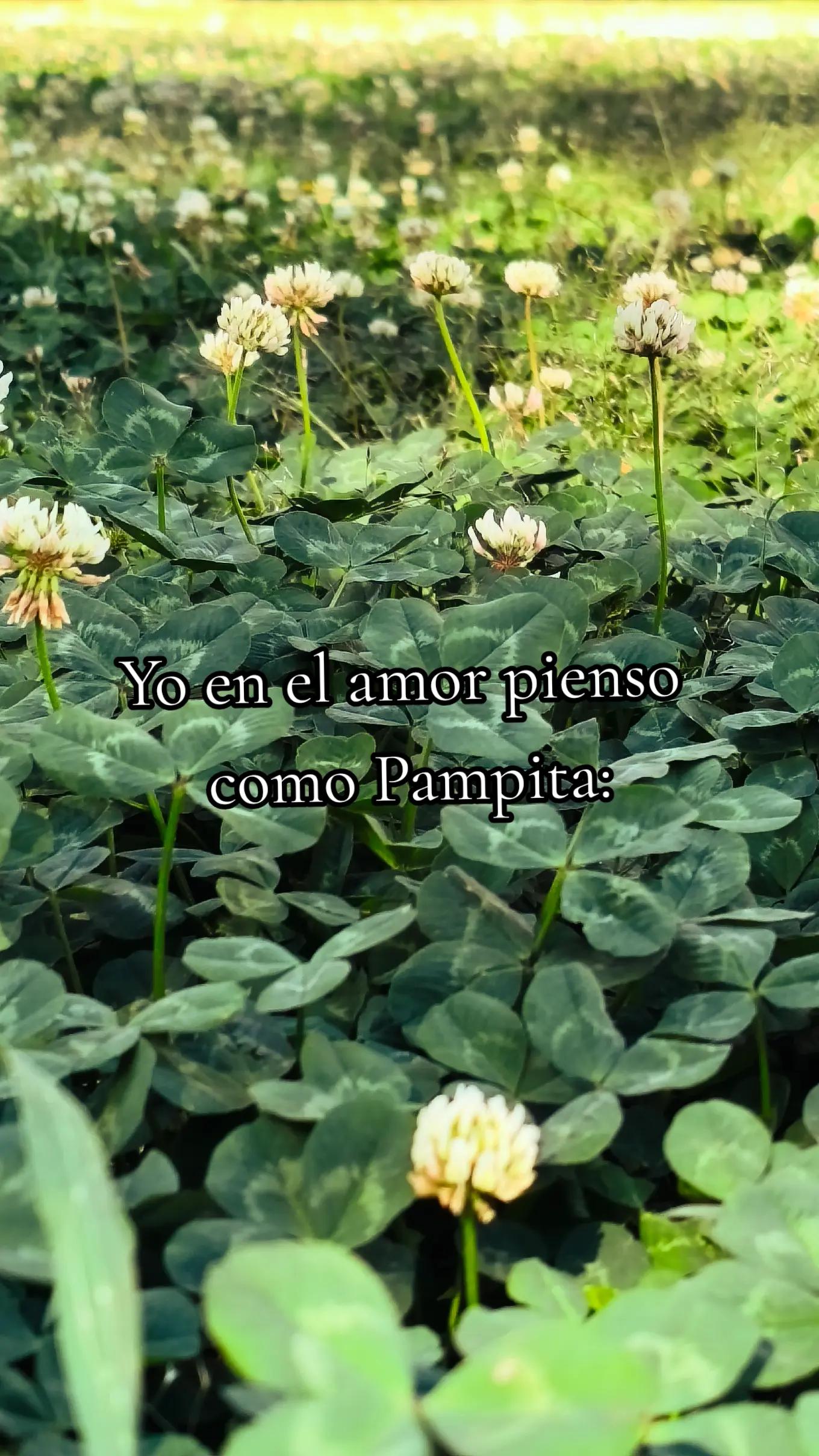 @Romi Cristin