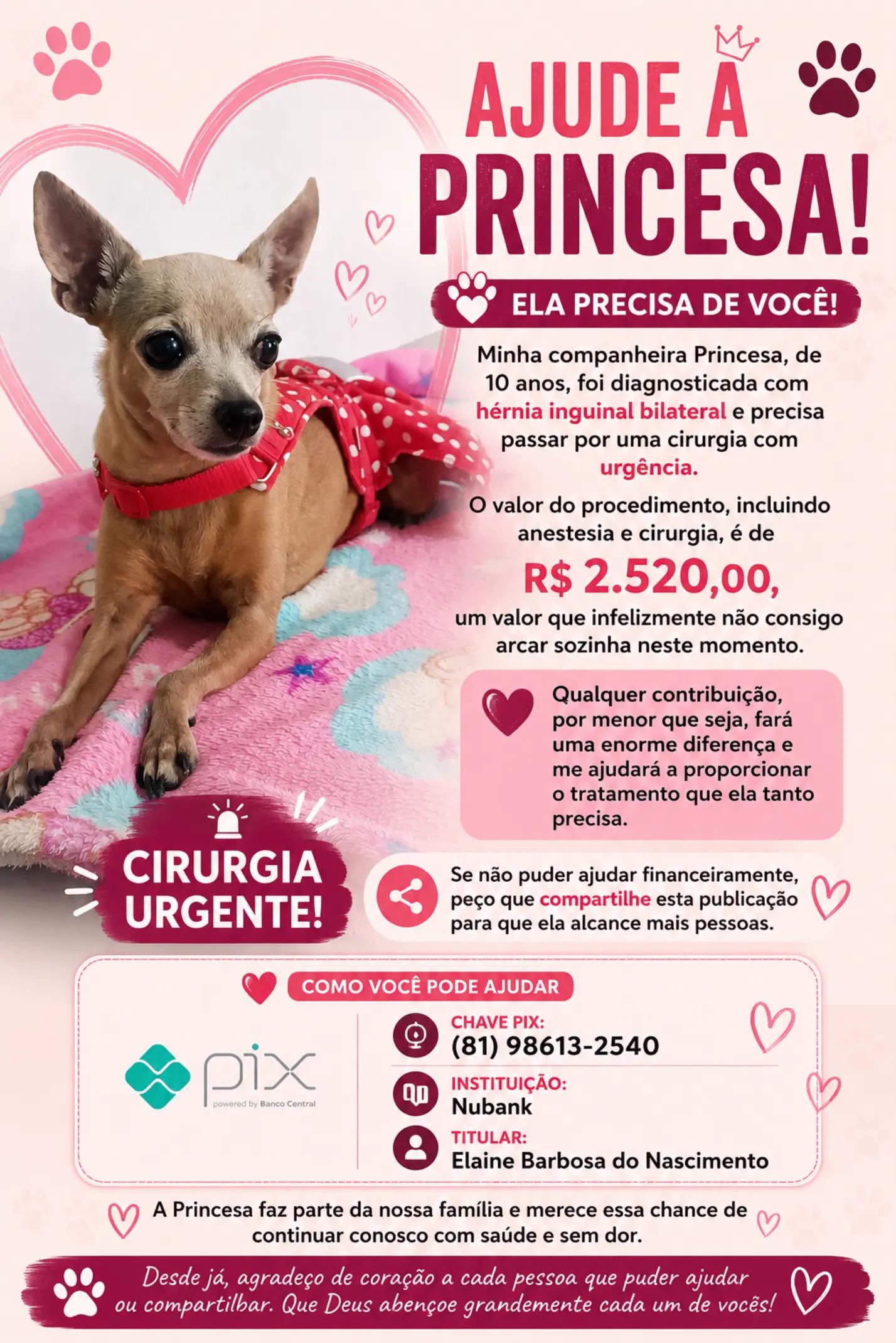 @princesa