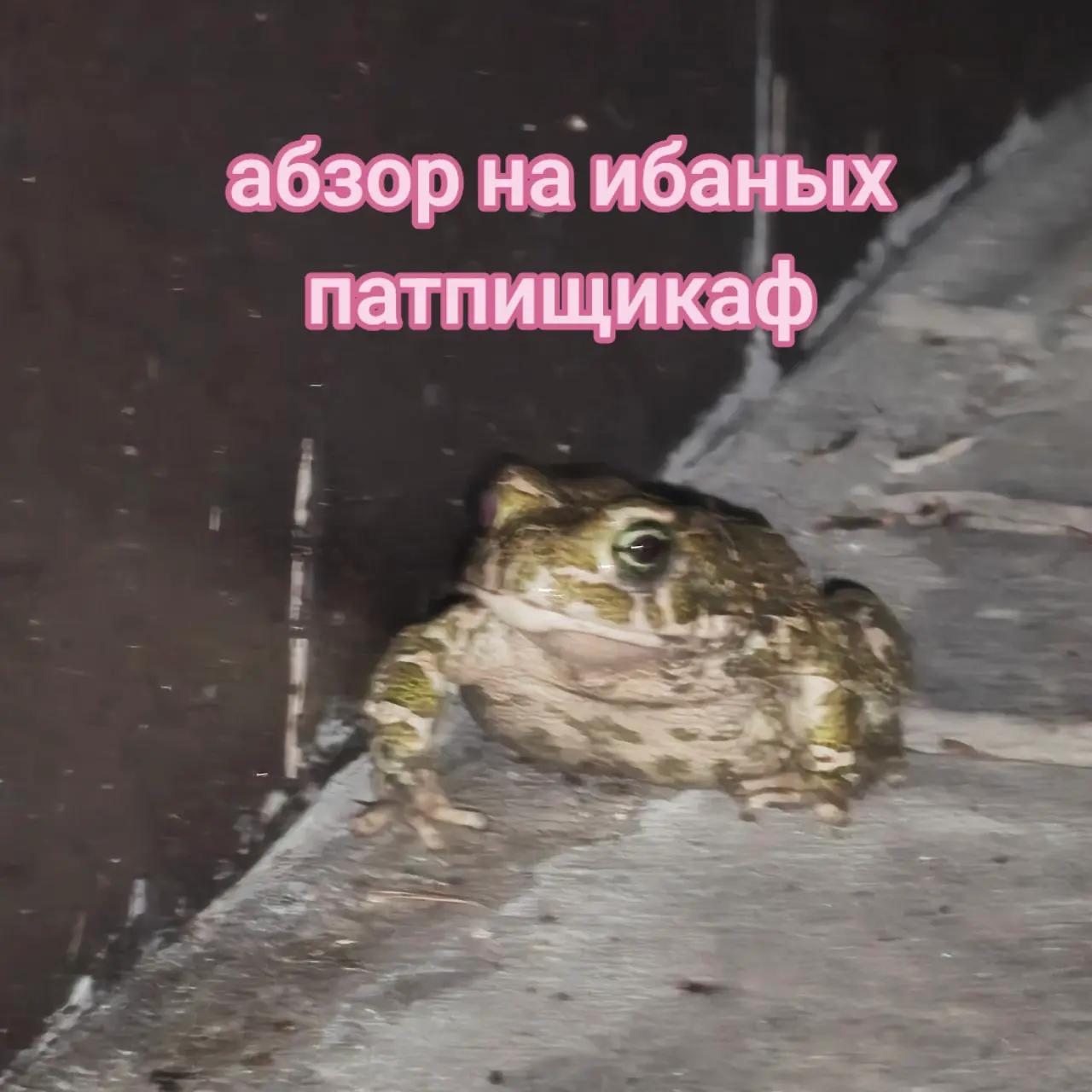 @FKS