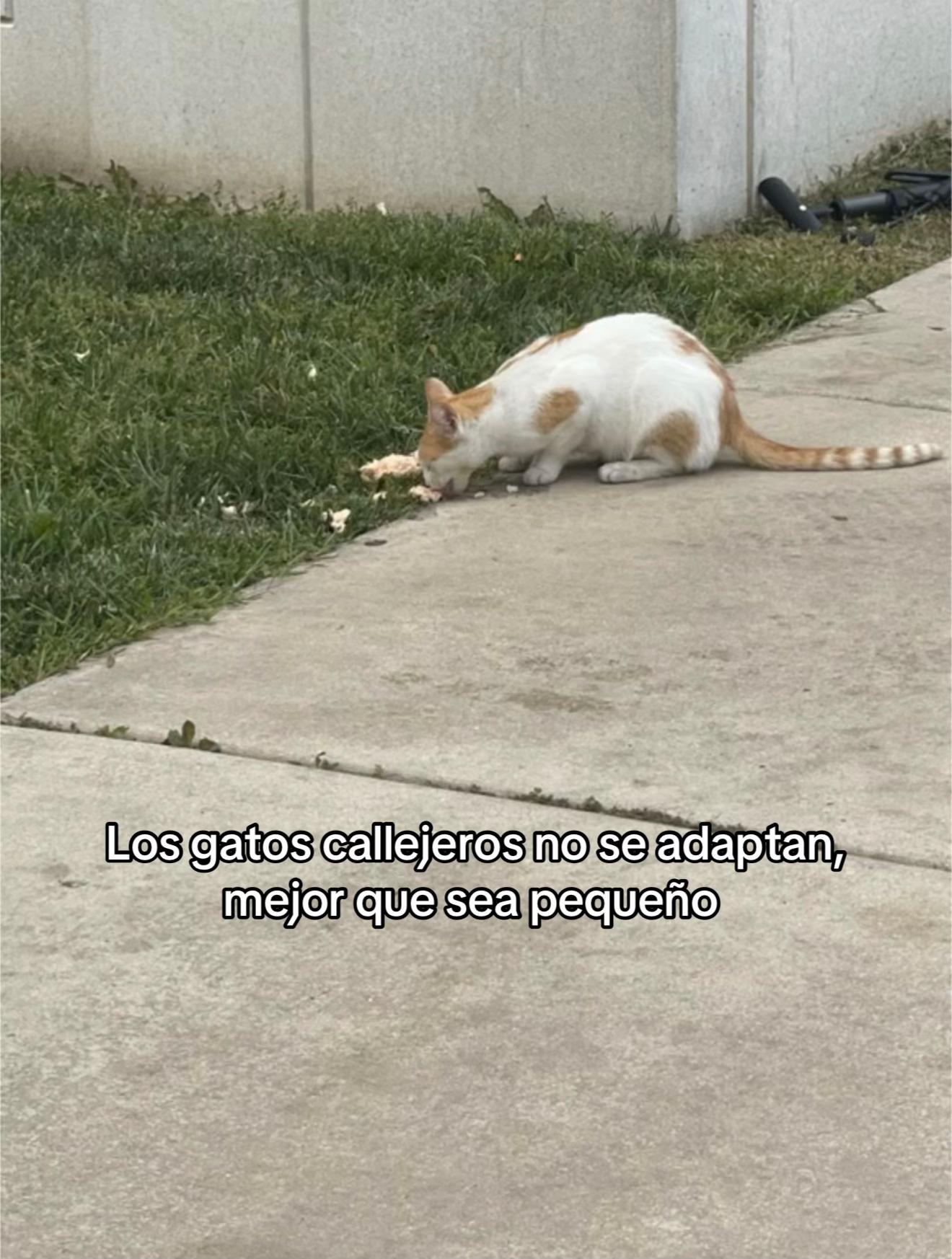 @Leyla 🇪🇨🇺🇸