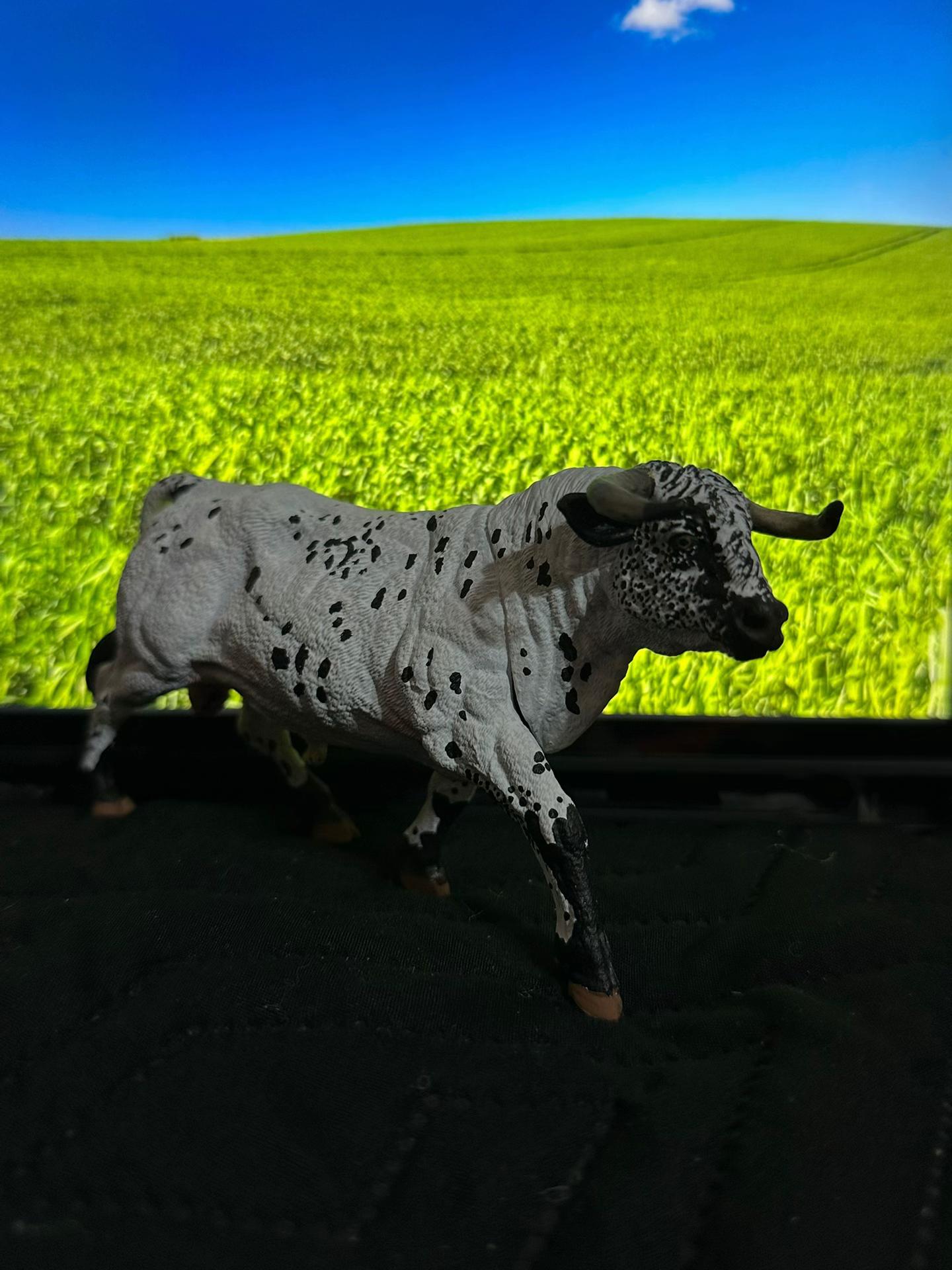 @Charrini toys bull riding