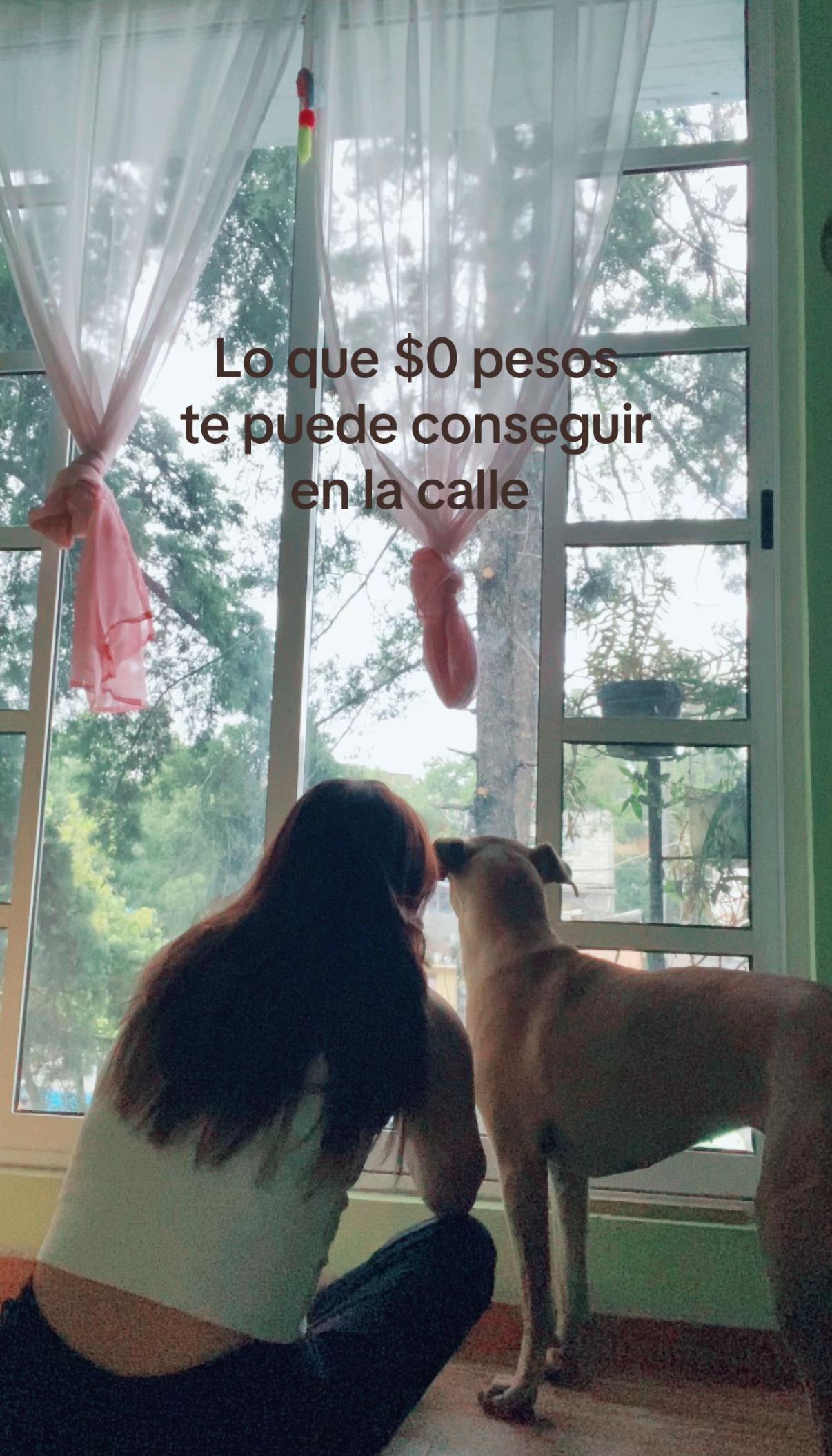 @danyween_