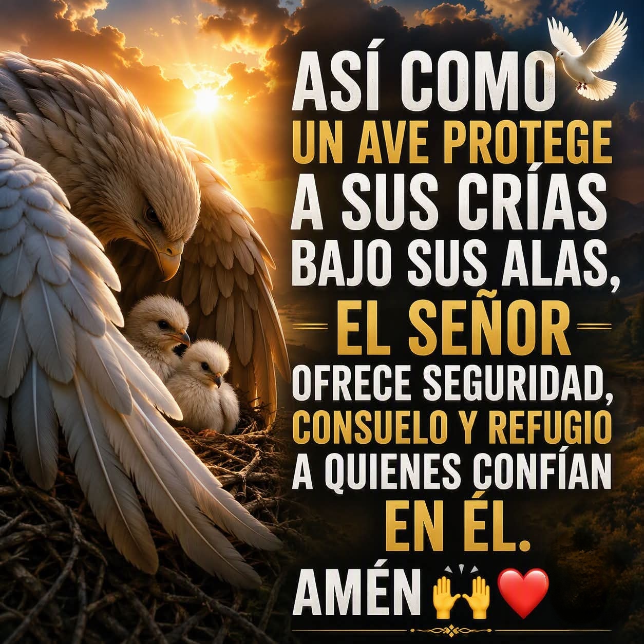 @ᥫ᭡️✨ℱ﹅𓂅⌯ഒᯅ𓂅 ᥫ᭡✨