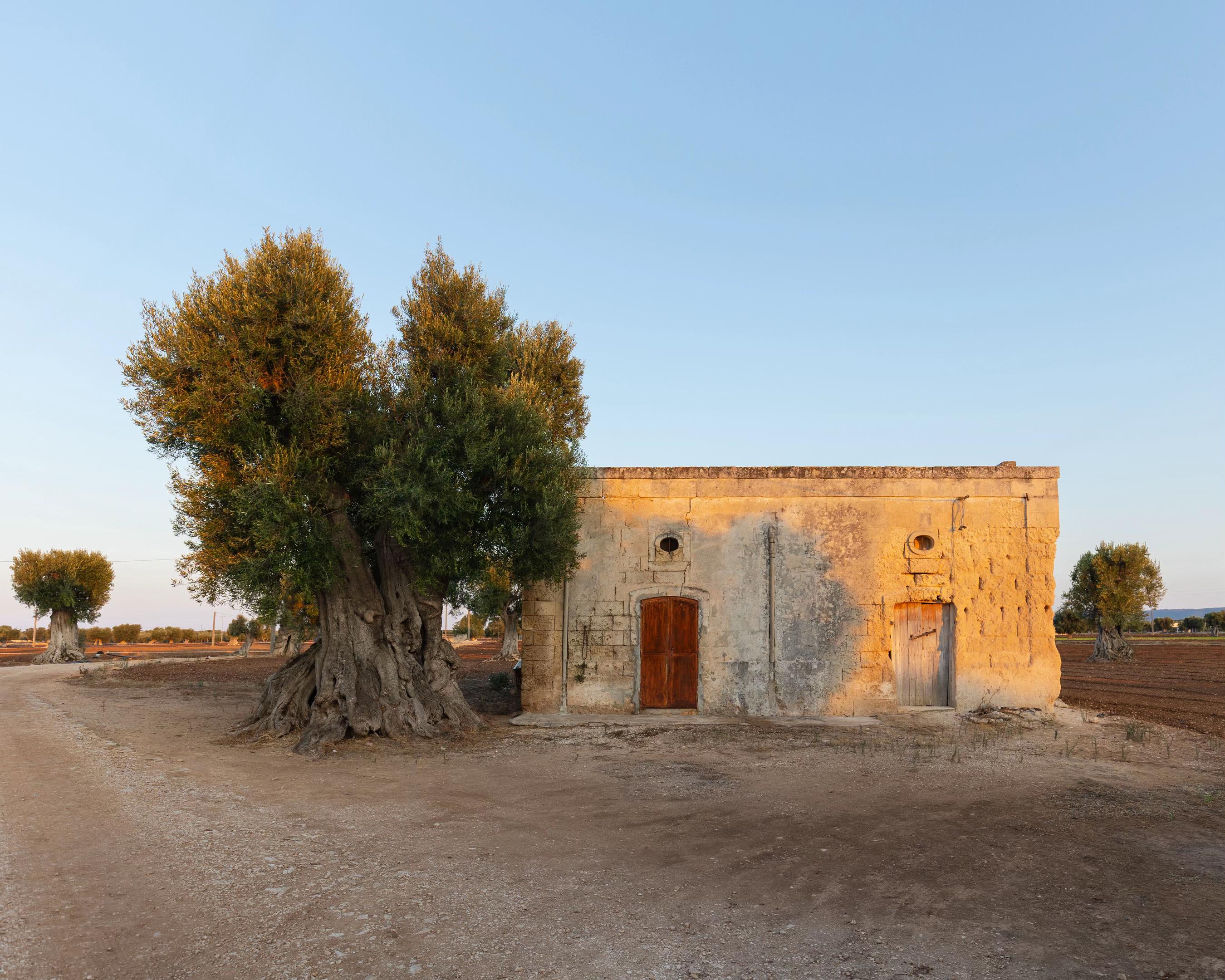 @Raffaele Mariniello
