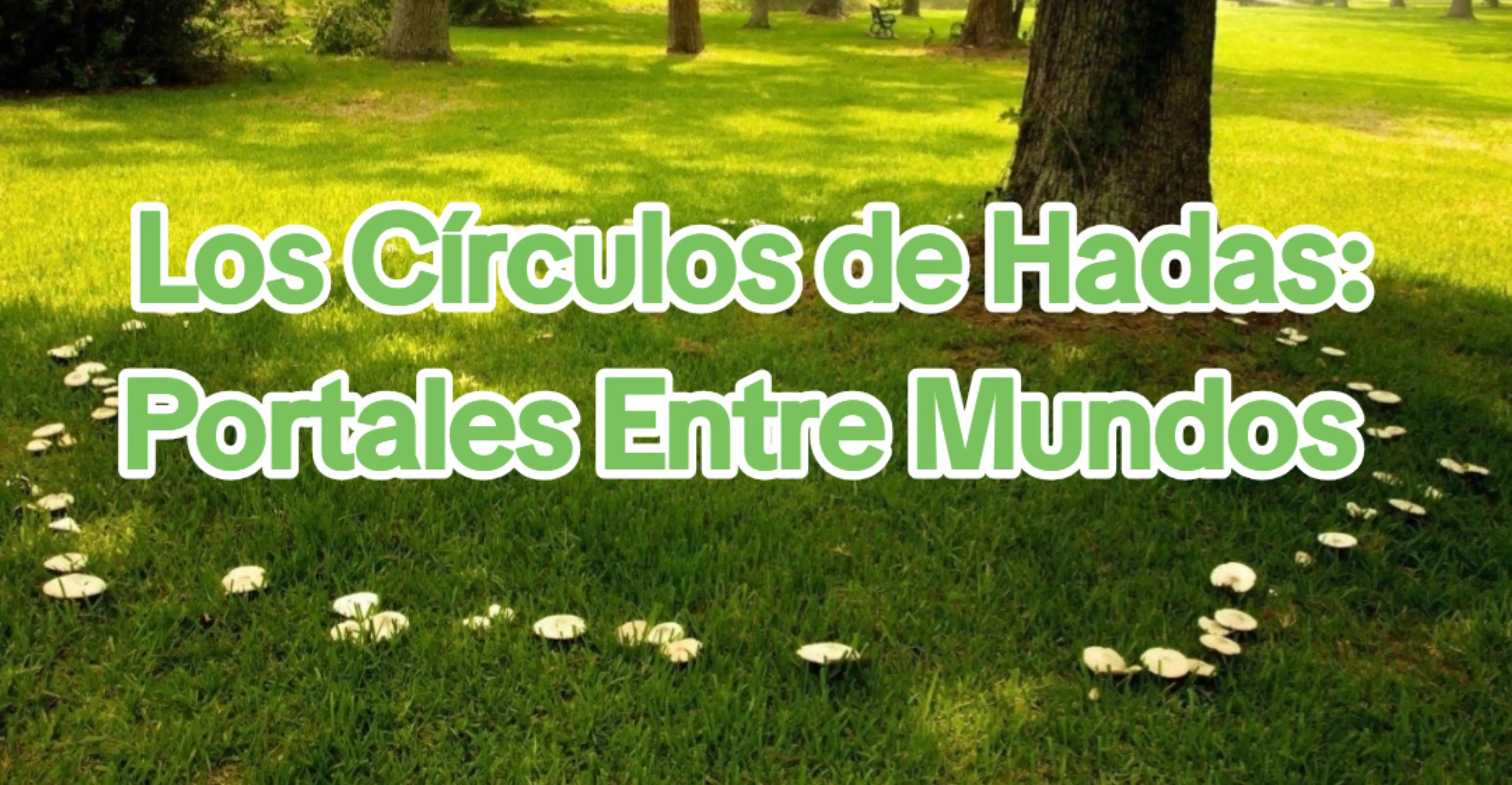 @María Druida Talis