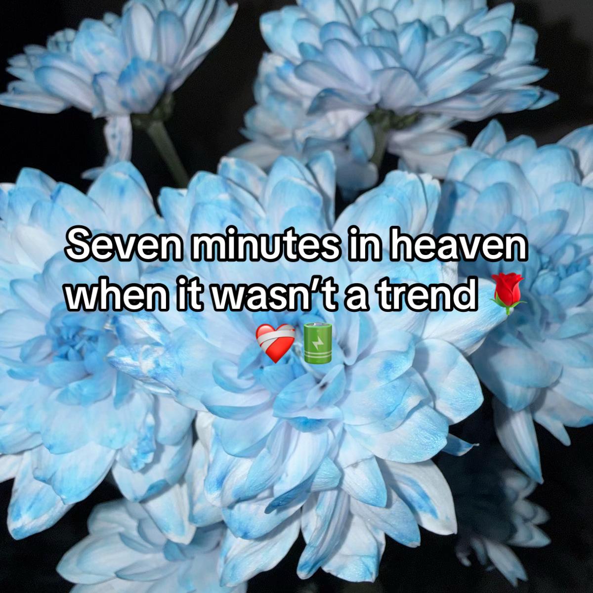 @evenograss_