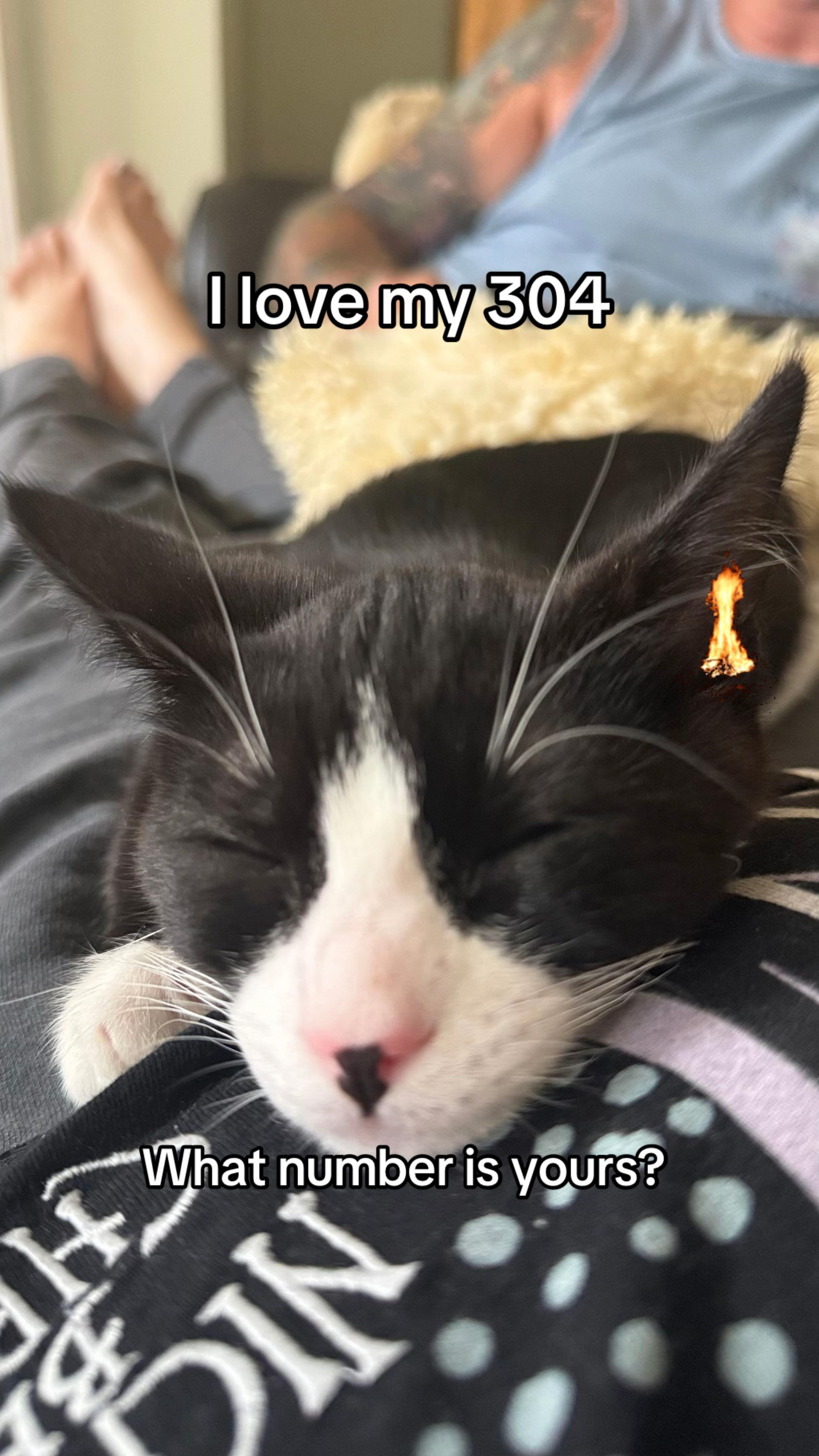 @charlie.healing.journey