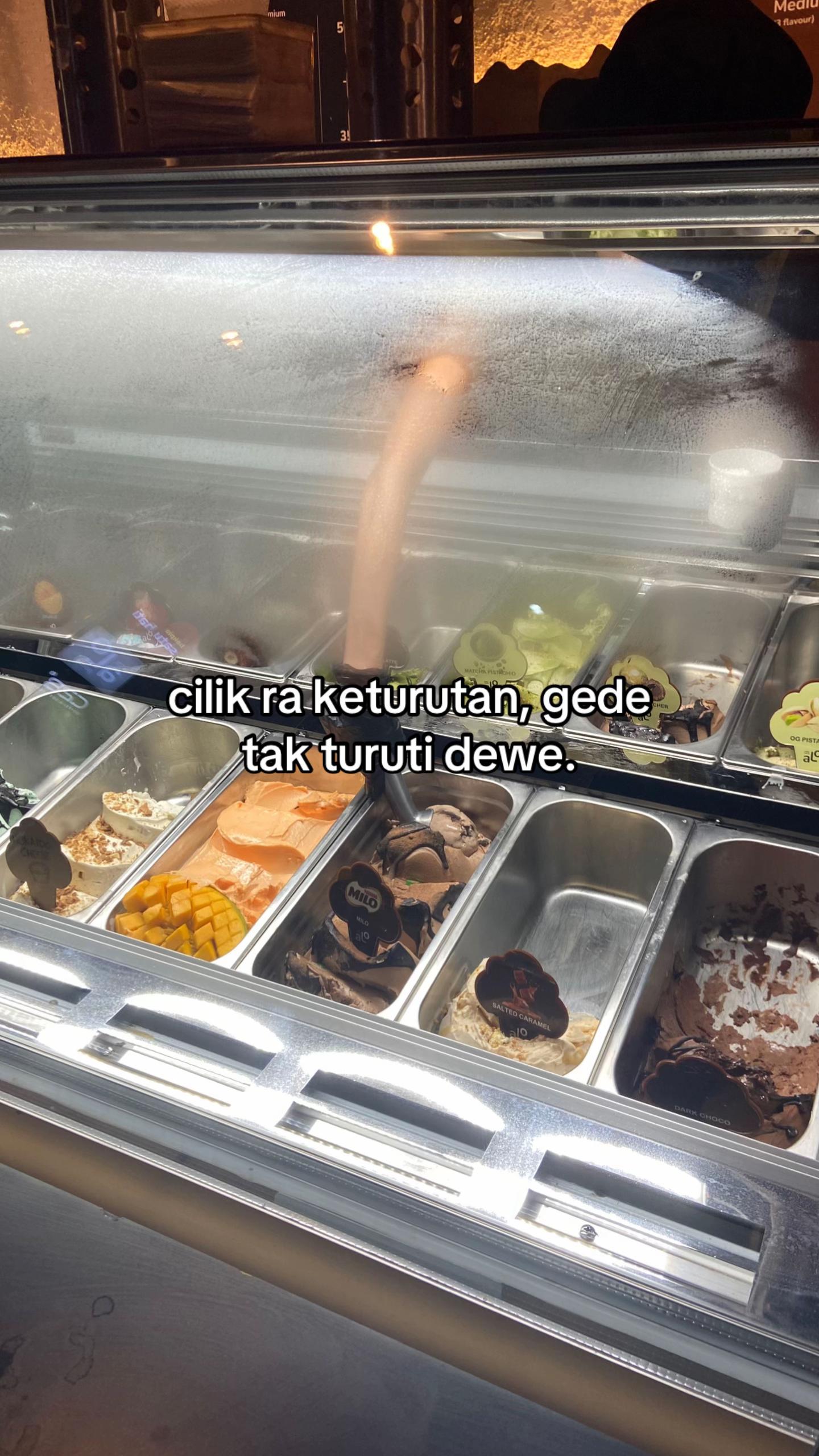 @ikaa 🐾