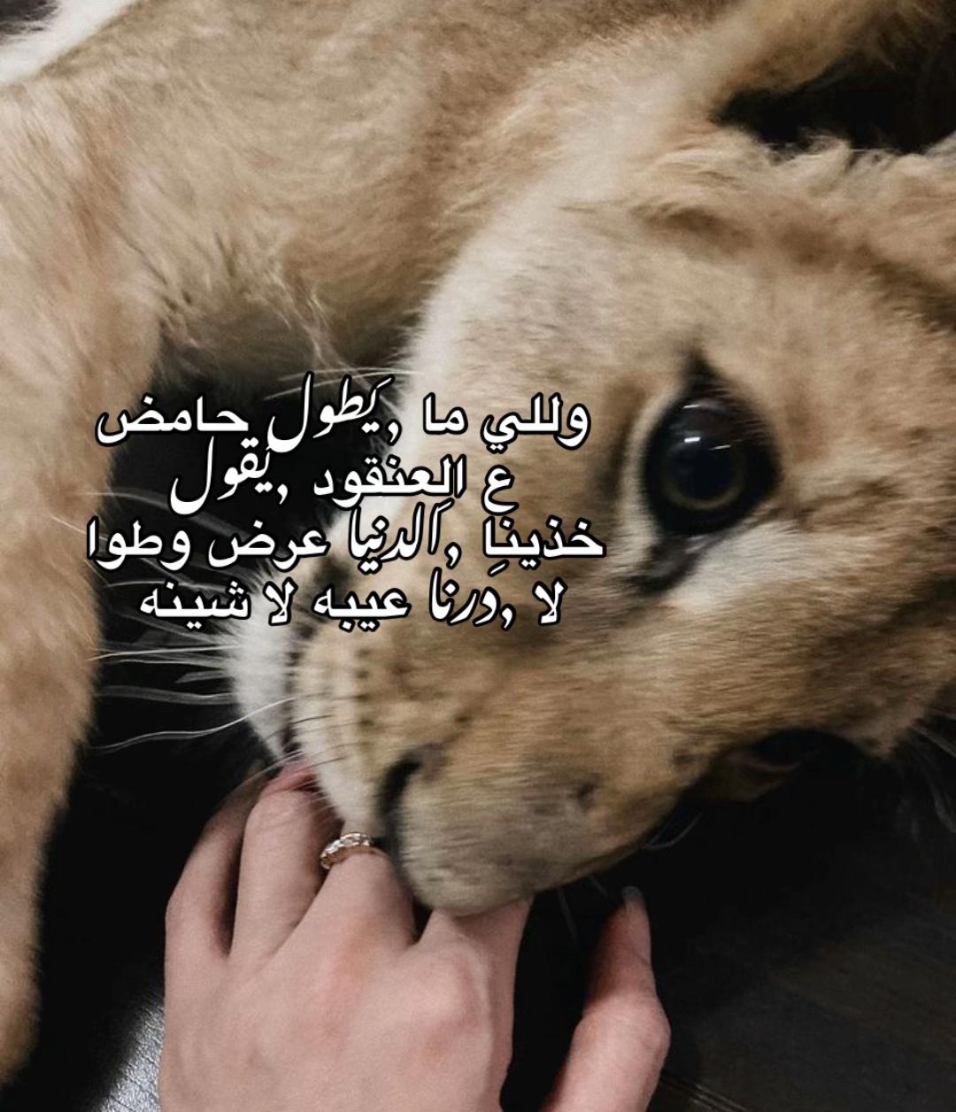 @نوما المشاي 🦅🔥