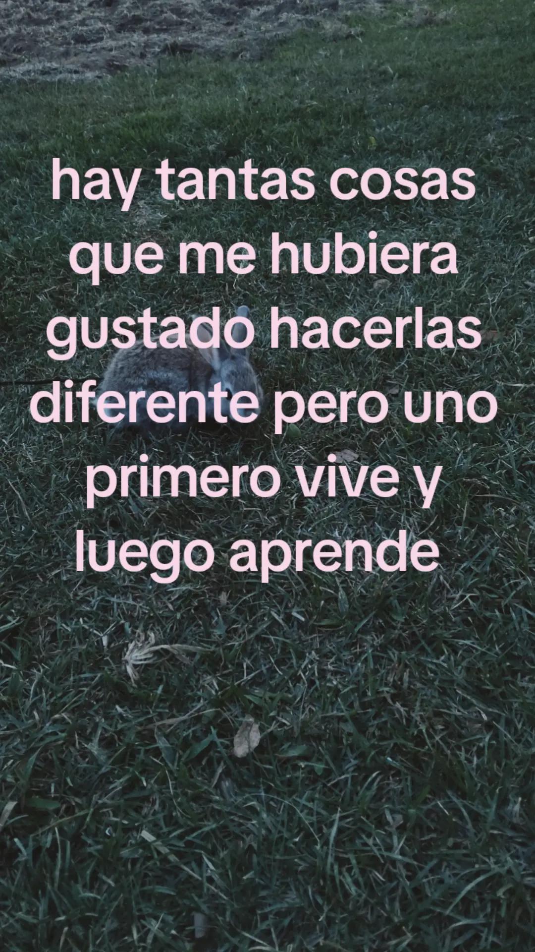 @✯✯