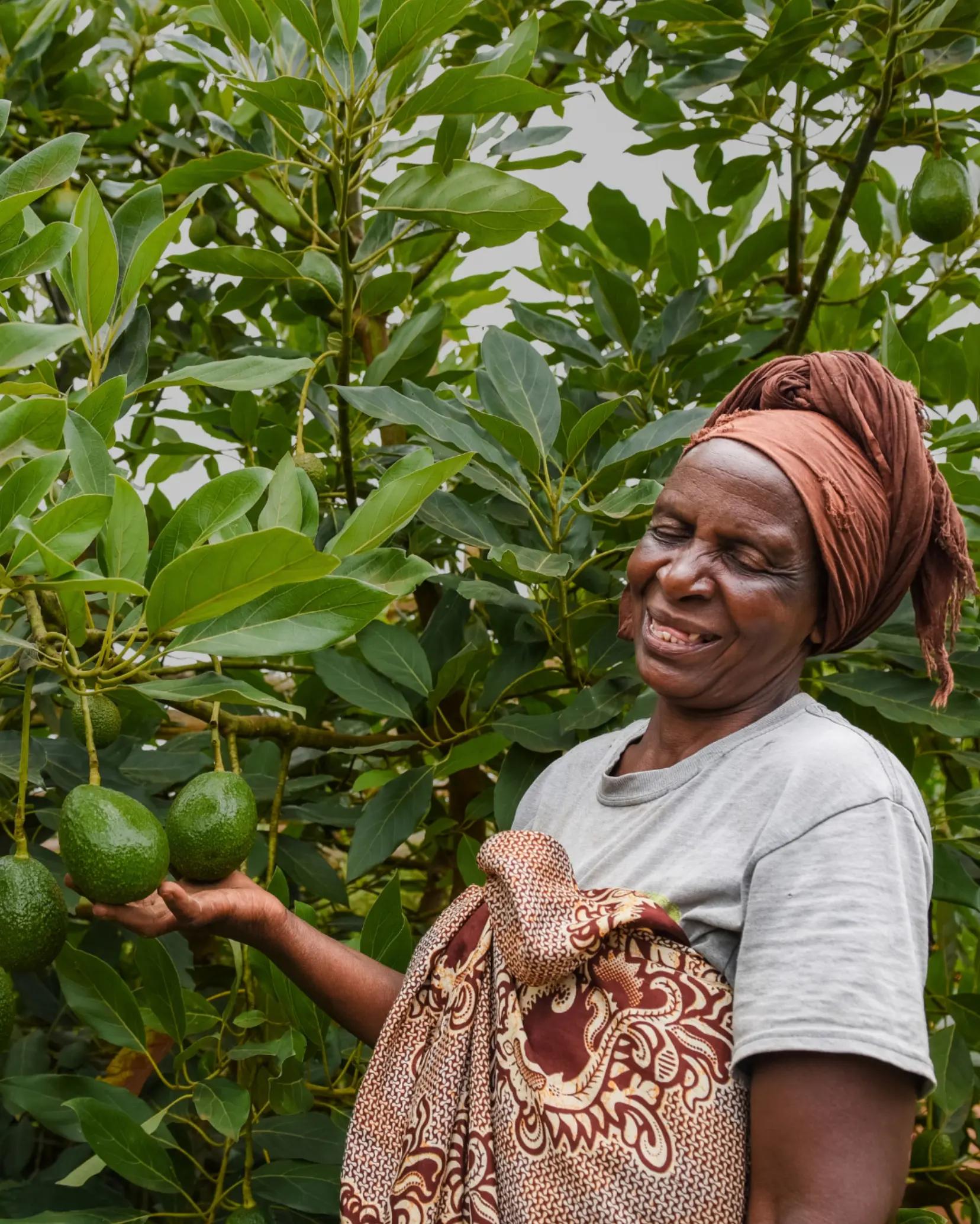 @OneAcreFund.org