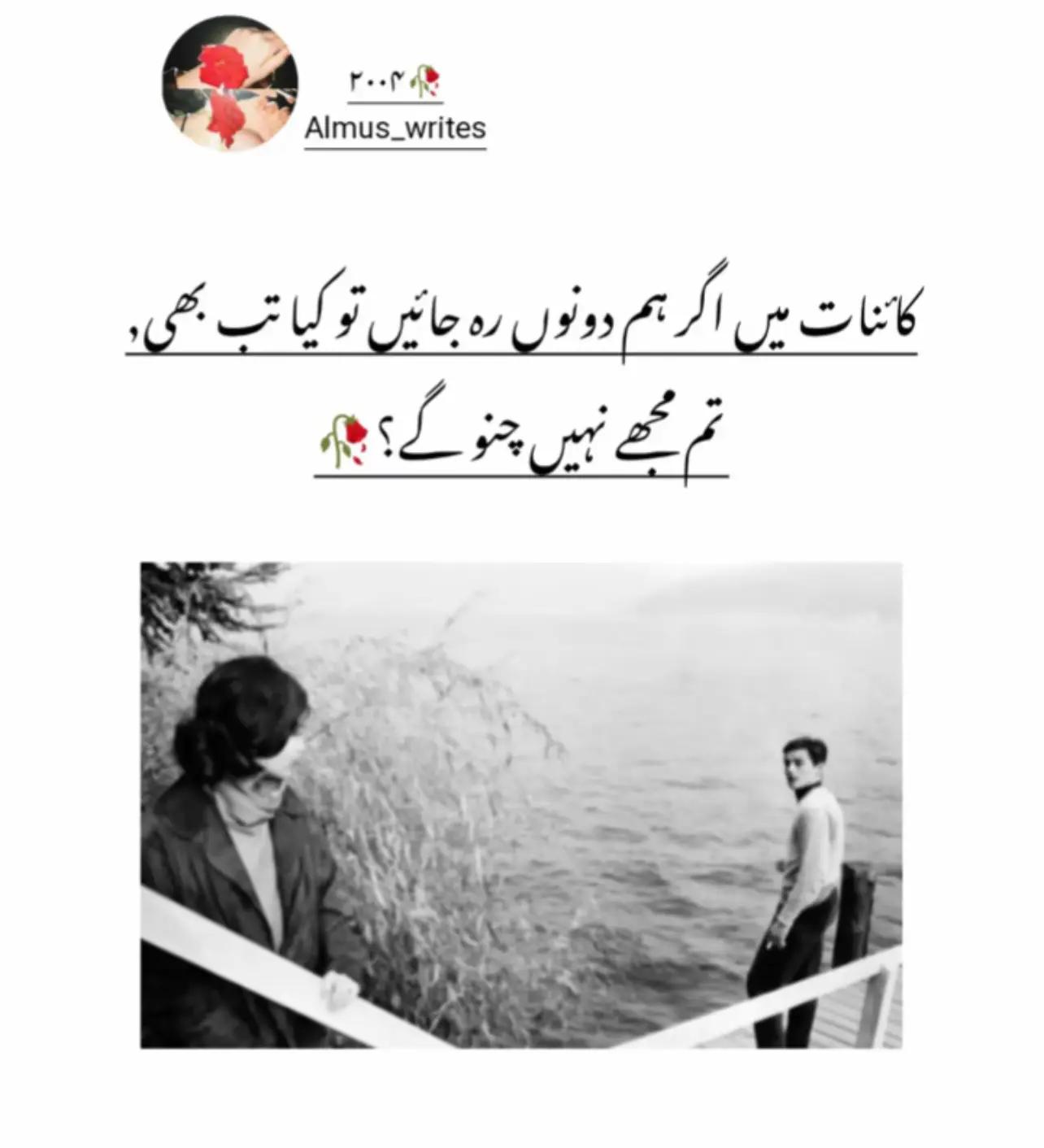@🚩موسئ راجپوت😈