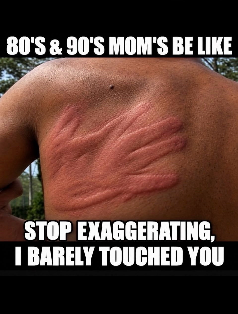 @Sophie Ibarra