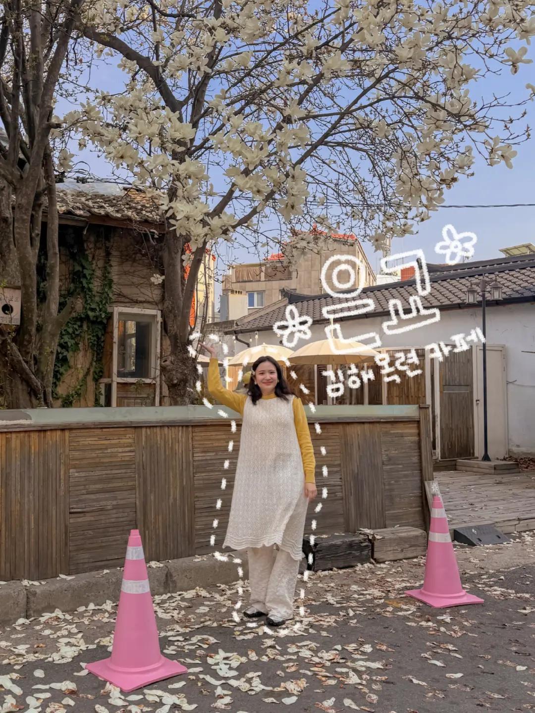 @오늘의 금지
