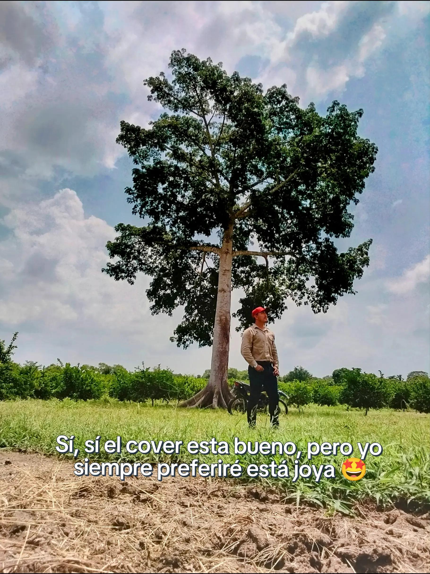 @Luis Del Pilar