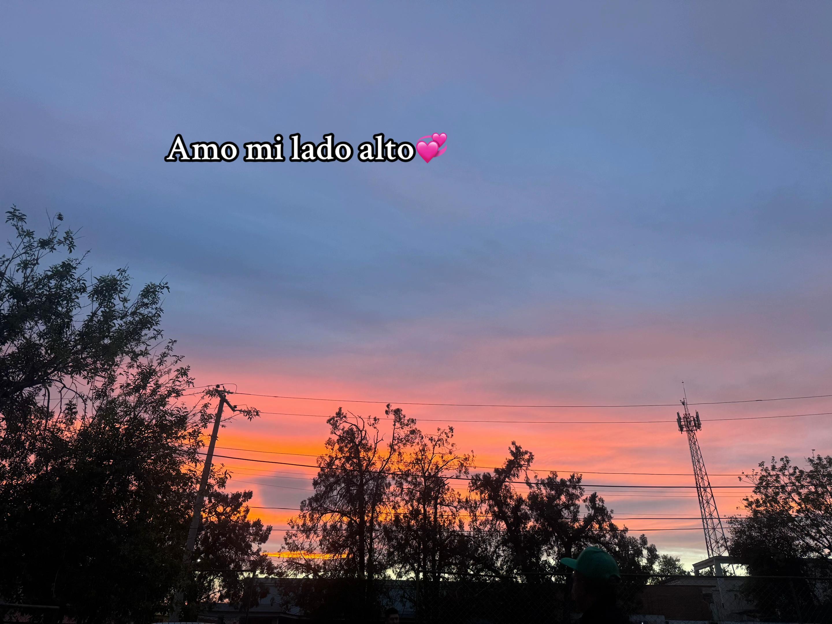 @Michh🥭