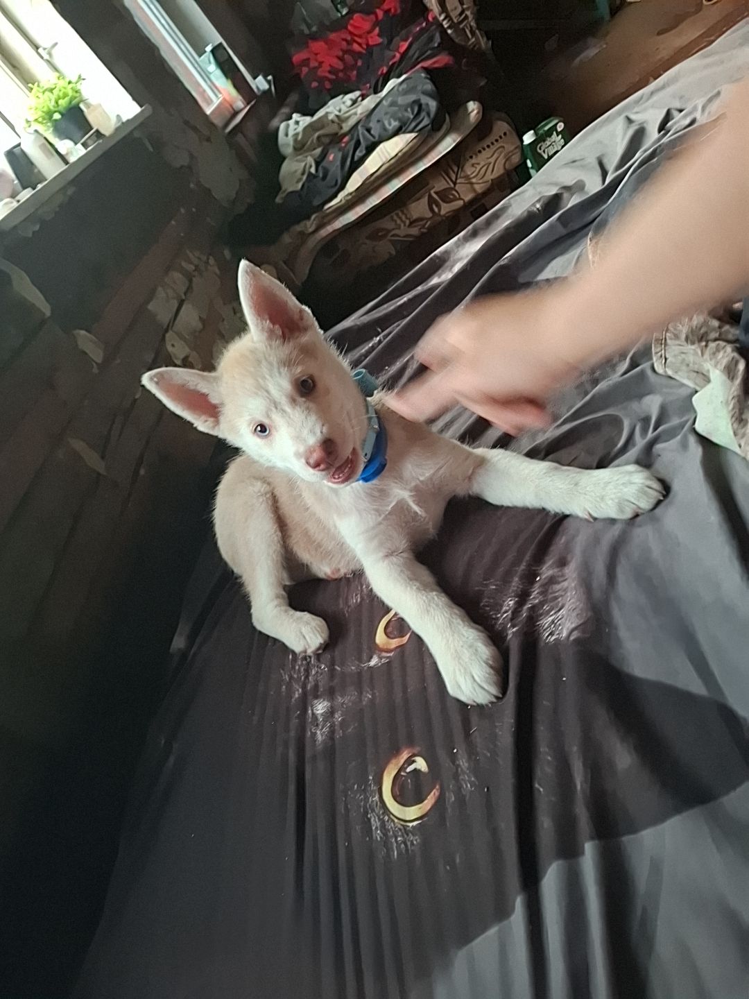 @๐ถ๐๐๐๐๐จ๐๐๐๐๐๐