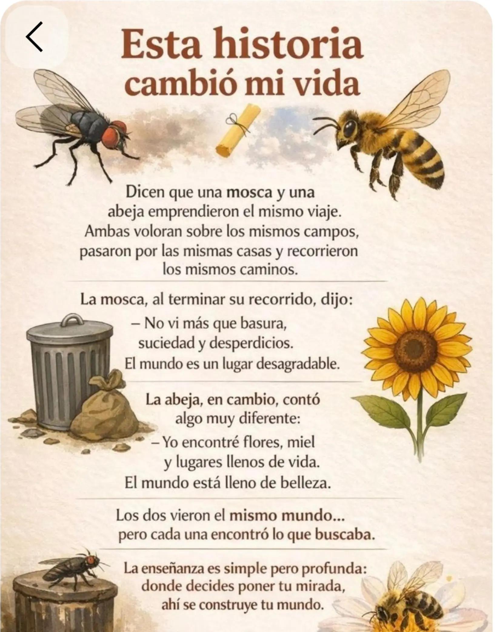 @El l&iacute;mite es el cielo.