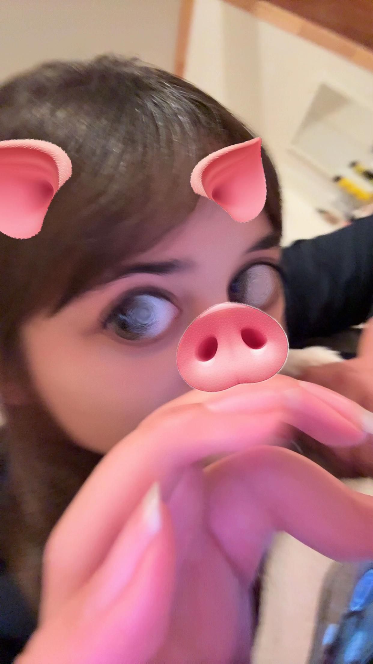 @budauritismeyassis