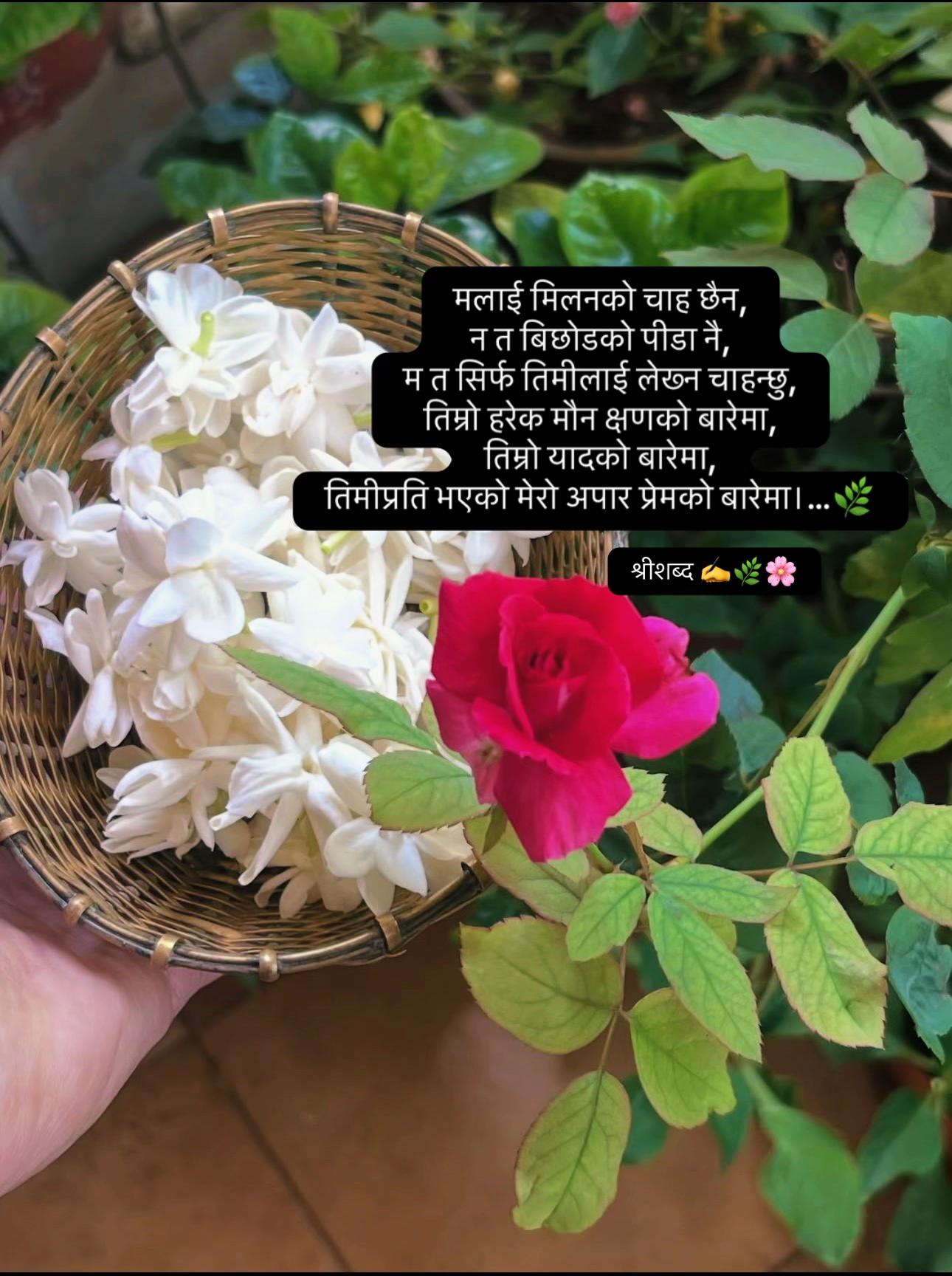 @🌿श्रीशब्द&hellip;.✍️🕊️🍁🍂