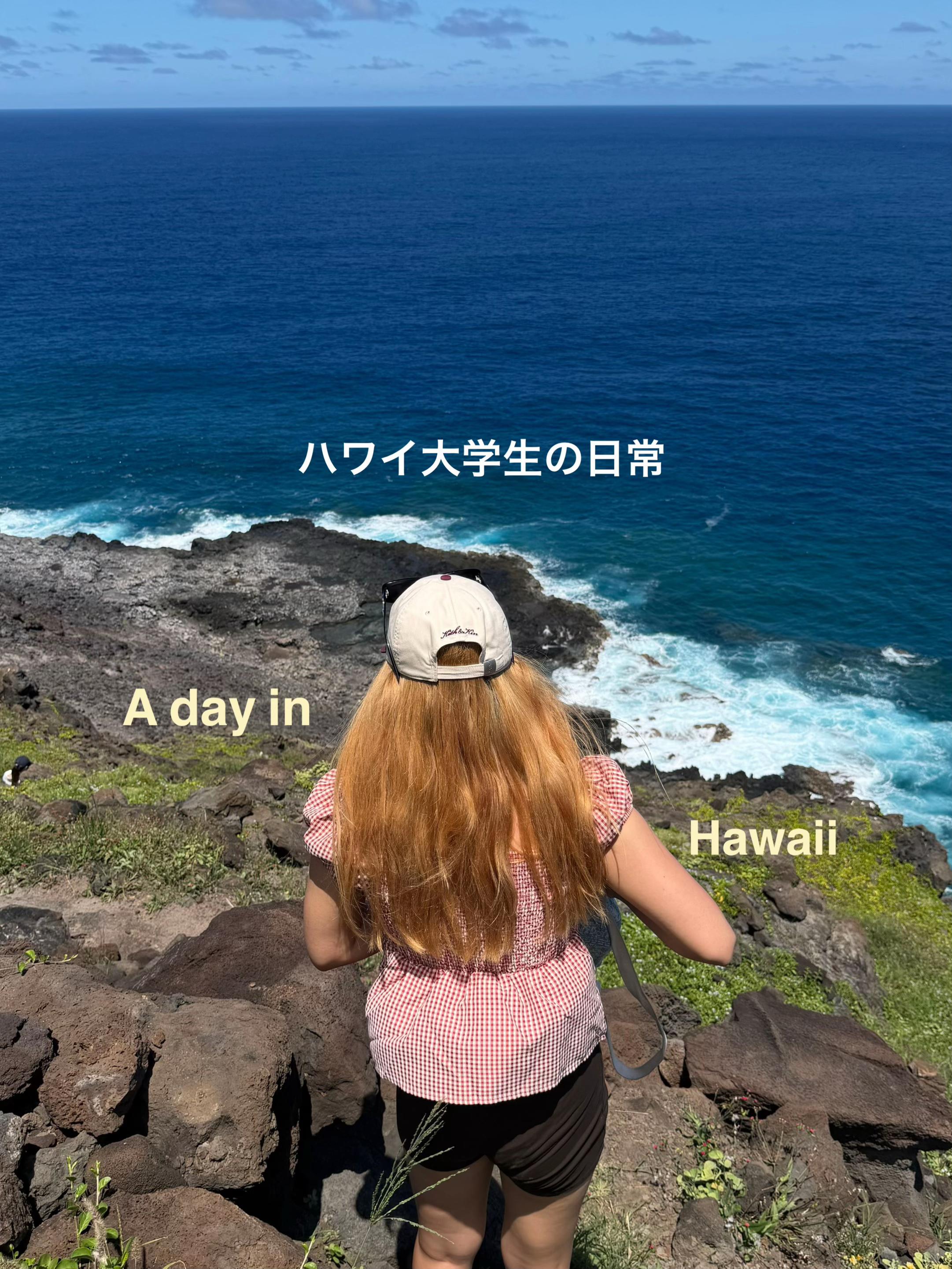 @ハワイ大学生