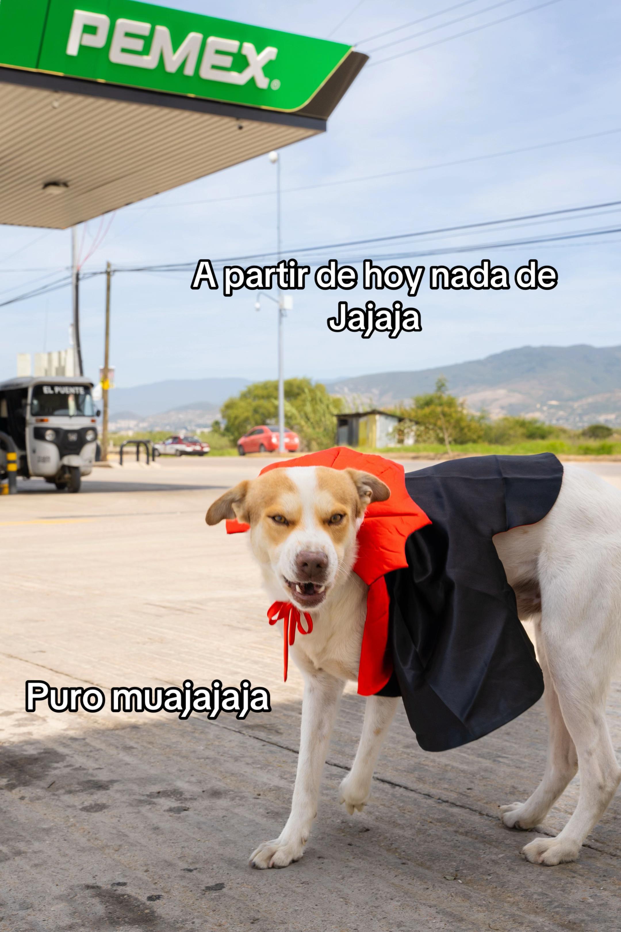 @Mailo el perro gasolinero