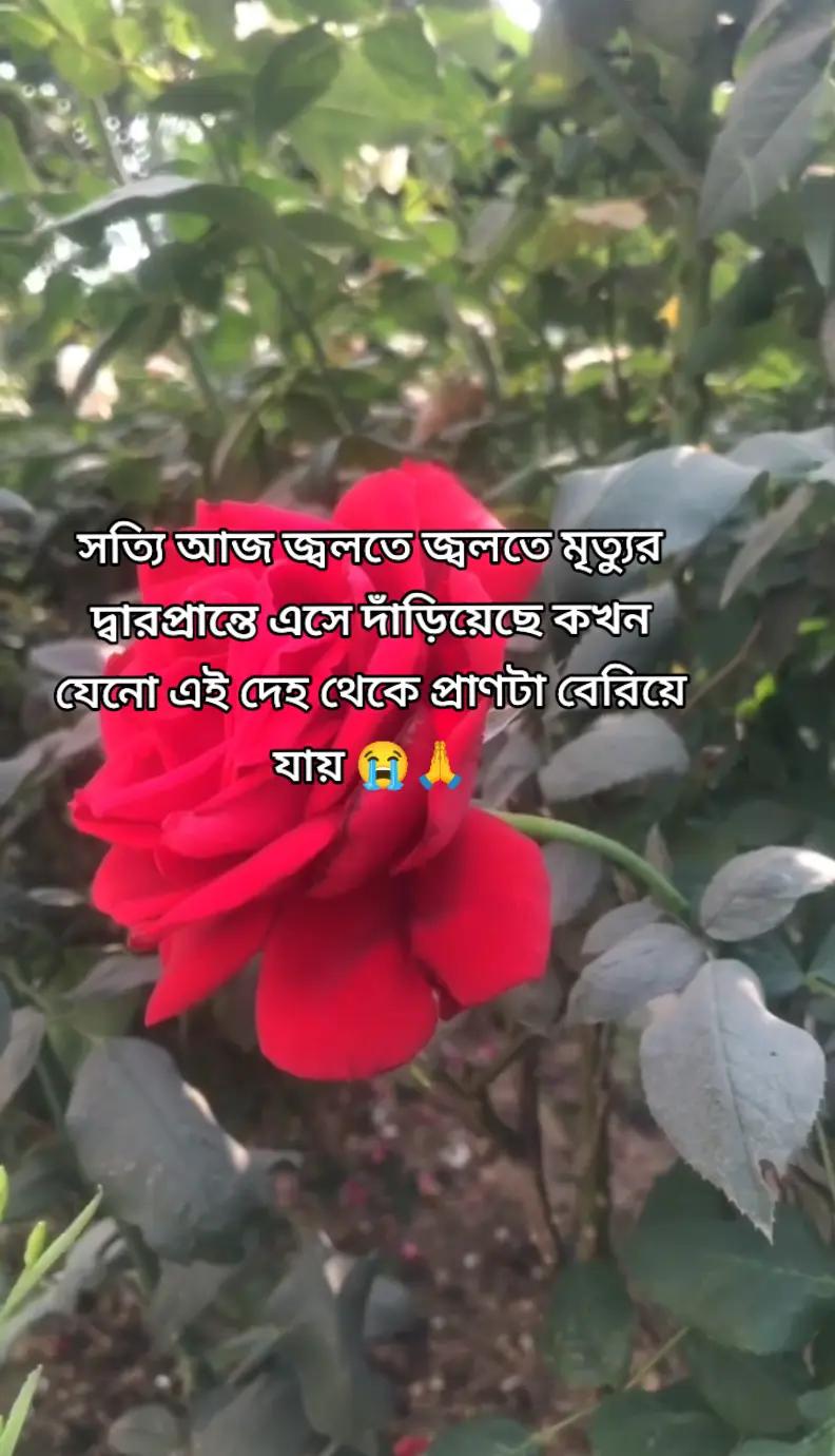 @Tania