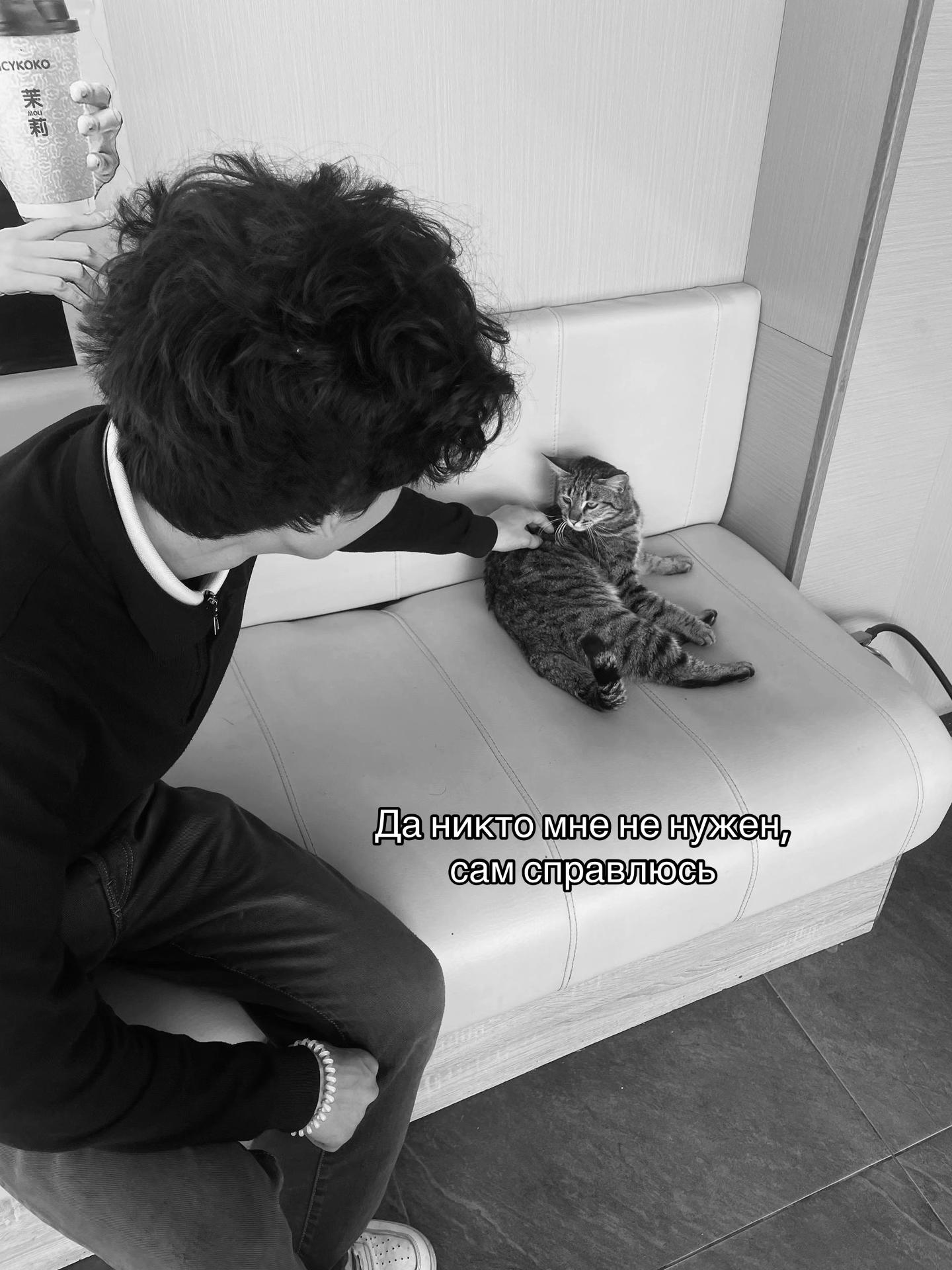 @тгк: arloestore_uz🇺🇿🇨🇳