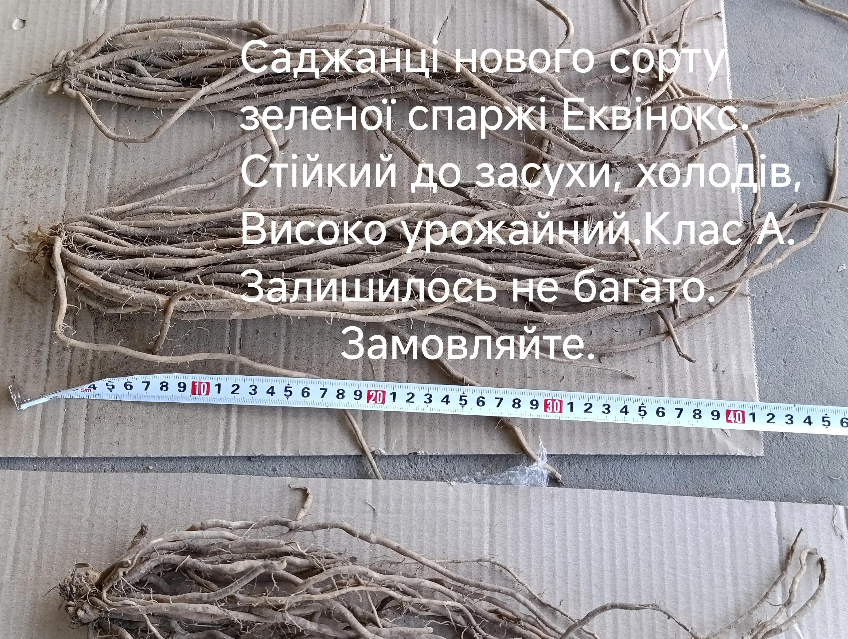 @Олег