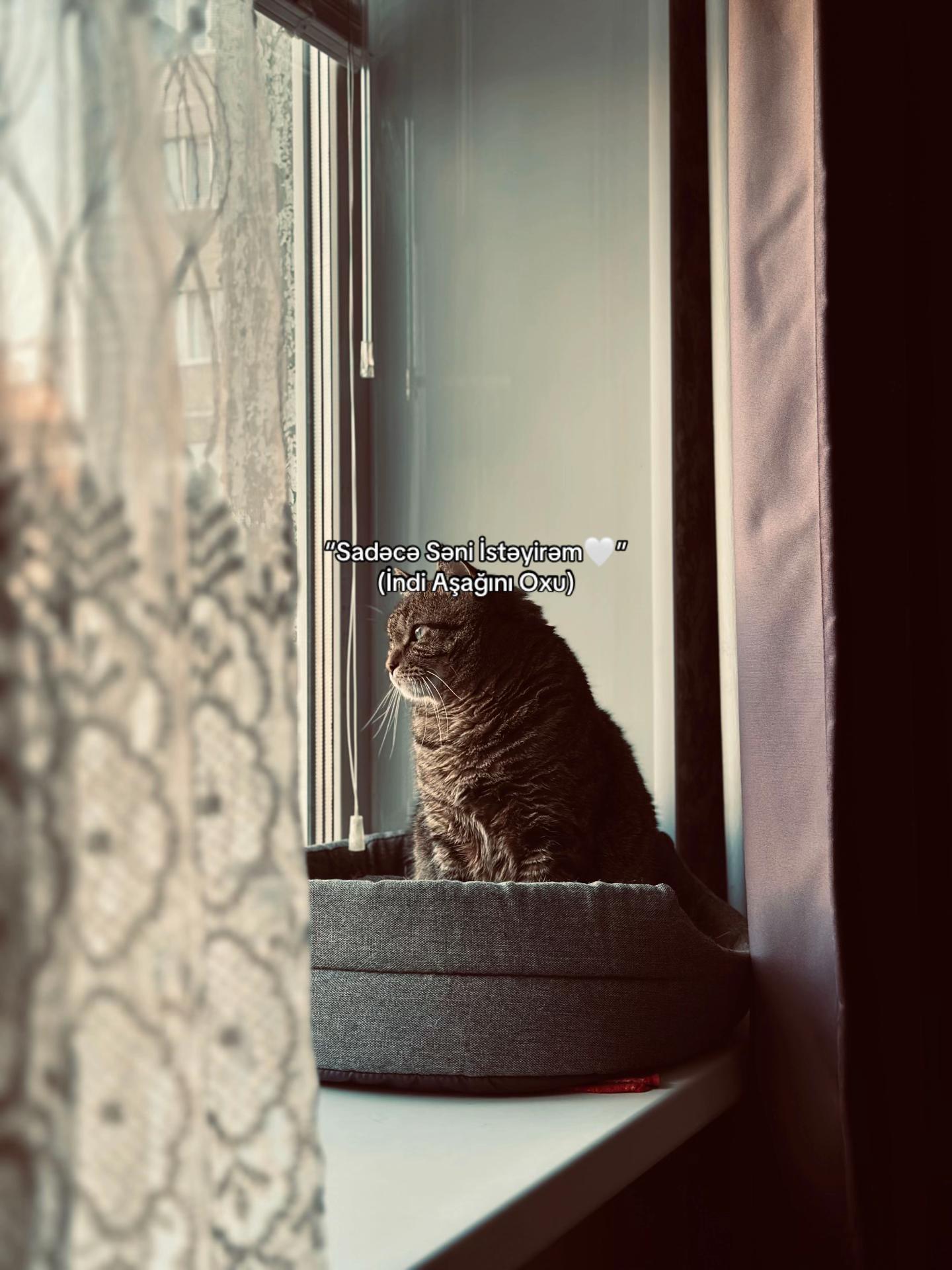 @𝐅𝐚𝐦𝐢𝐥❤️&zwj;🩹🩹