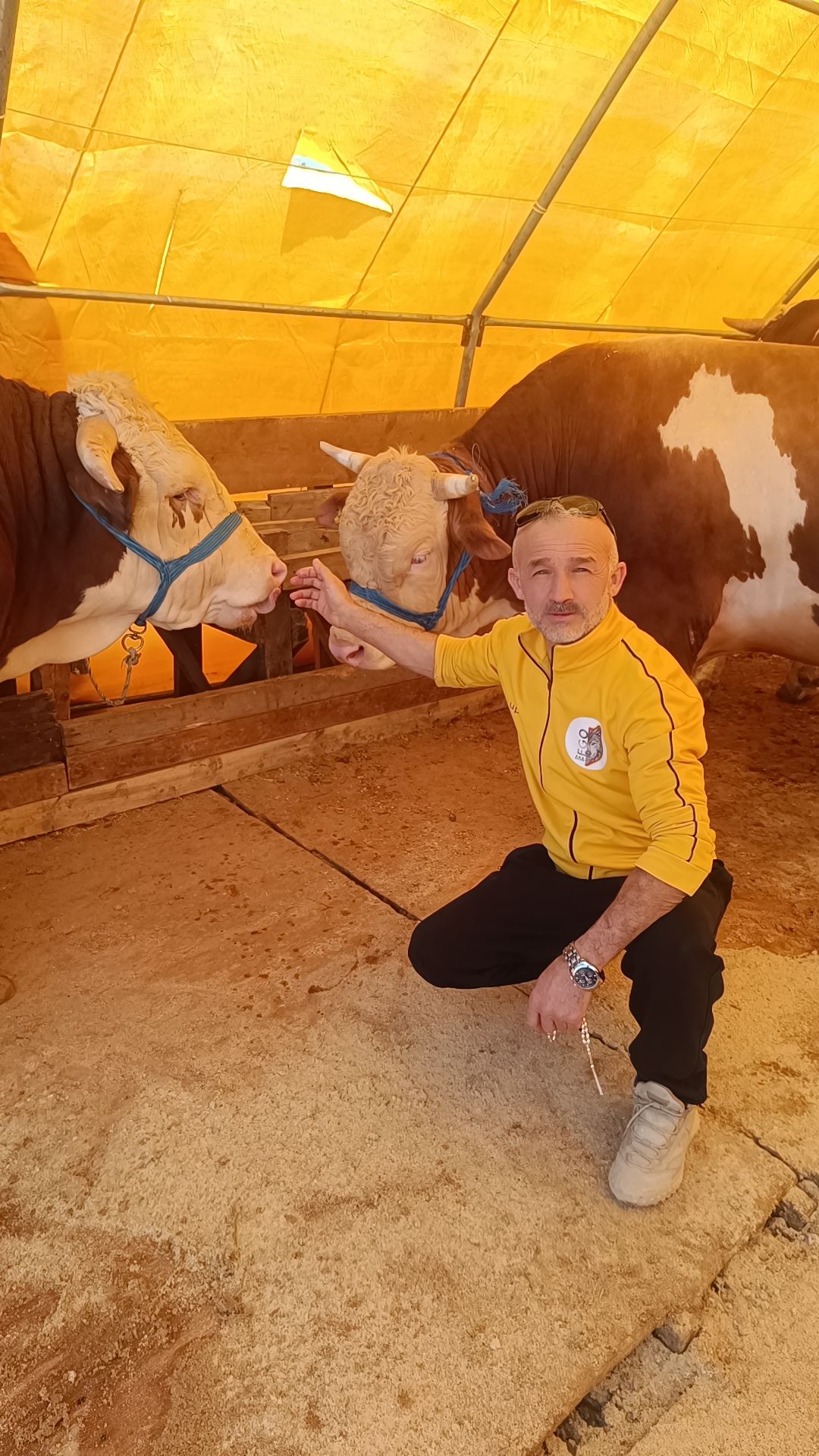 @Duran Karakaş