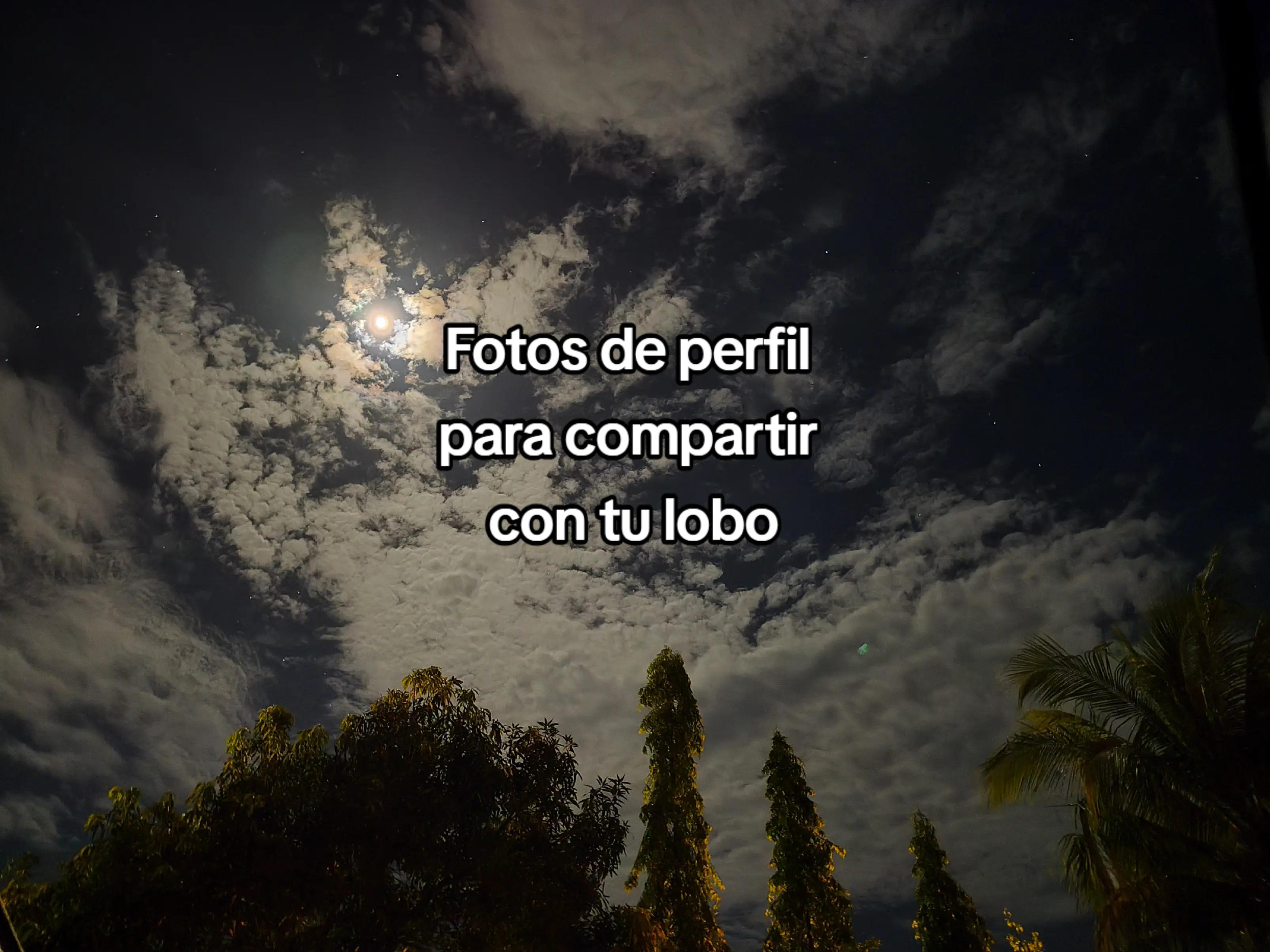 @Fan de One Piece