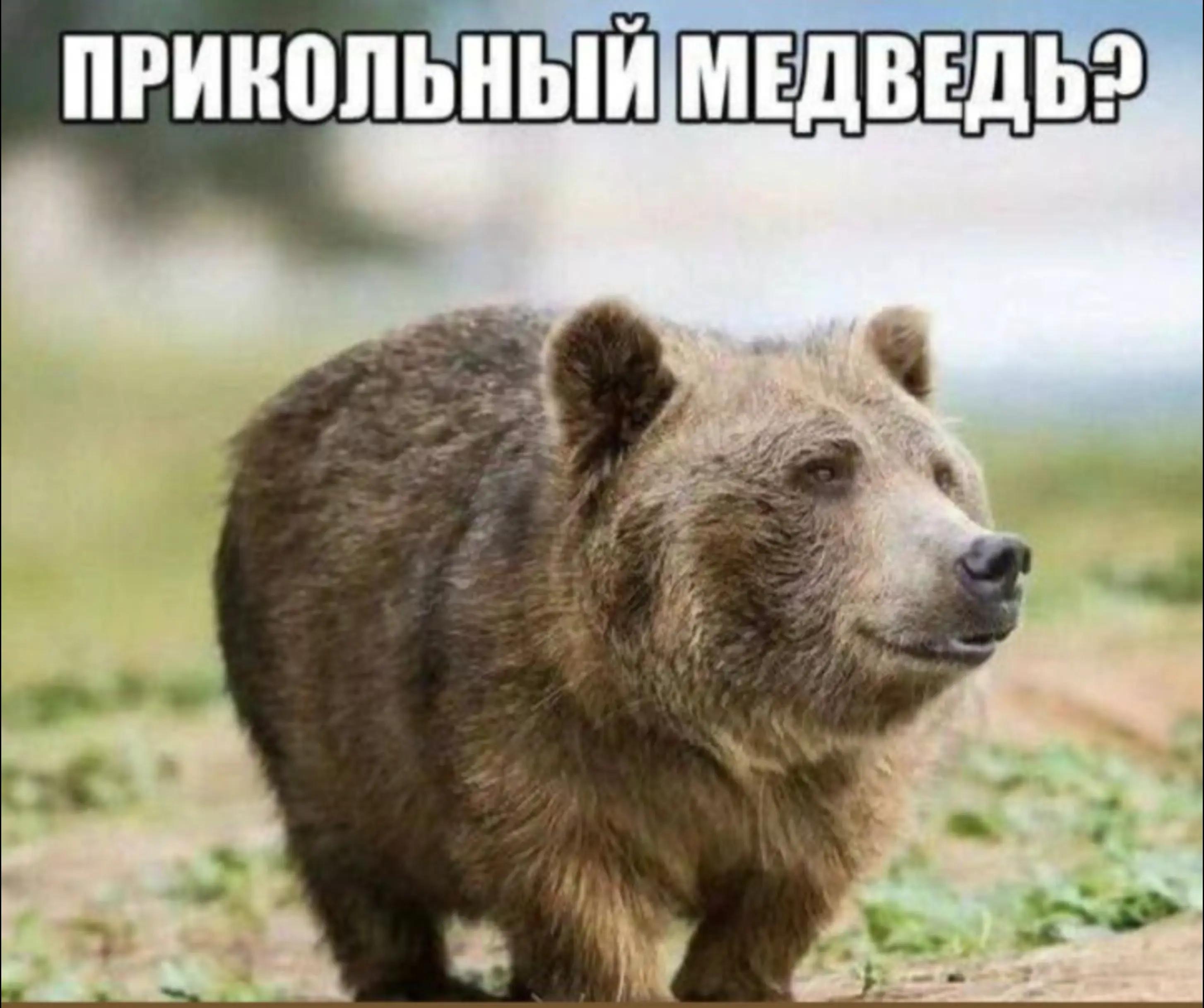 @Мистер Пиво