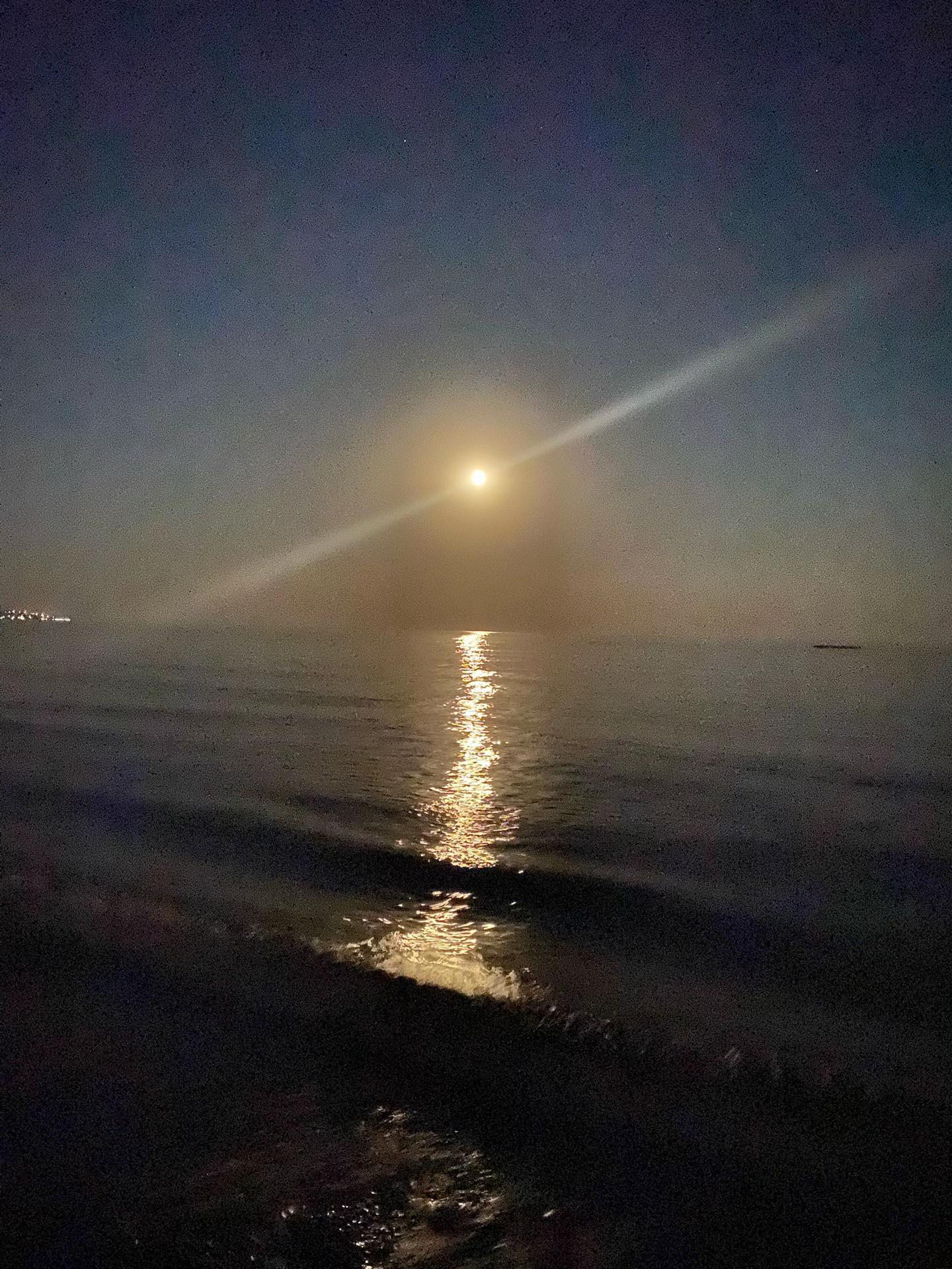 @Саня🇺🇦🌴🌻
