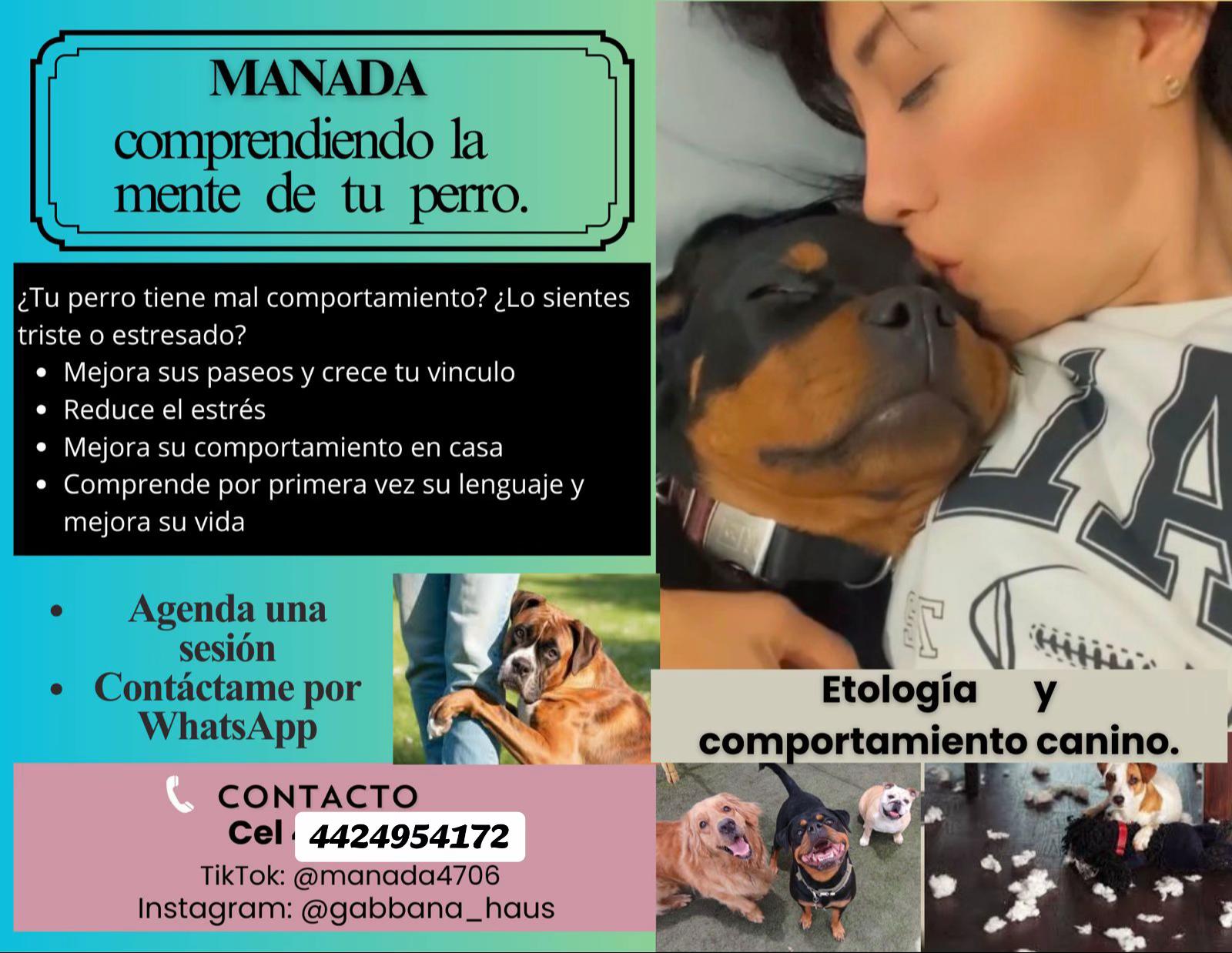 @Manada