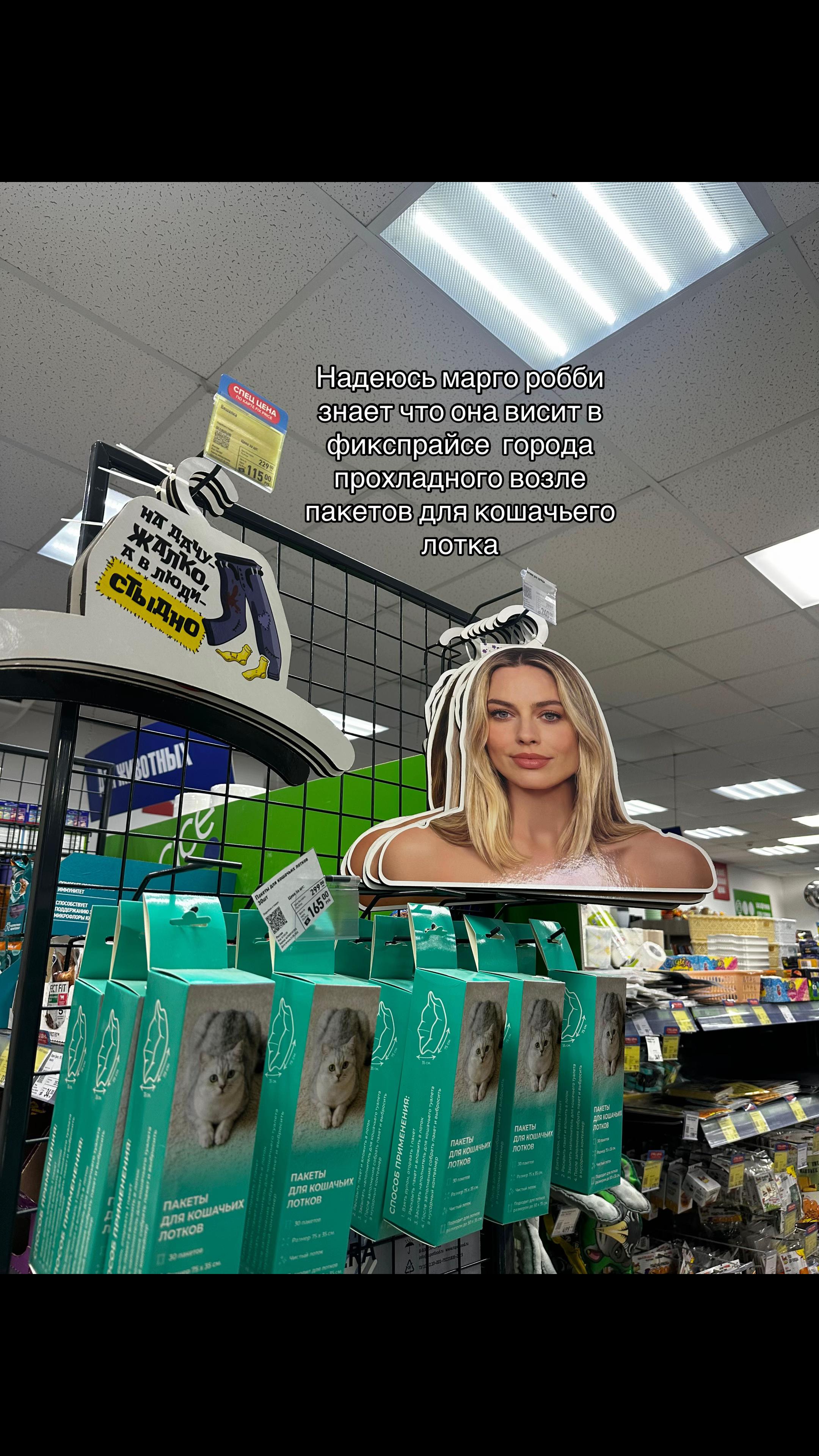 @Сæша