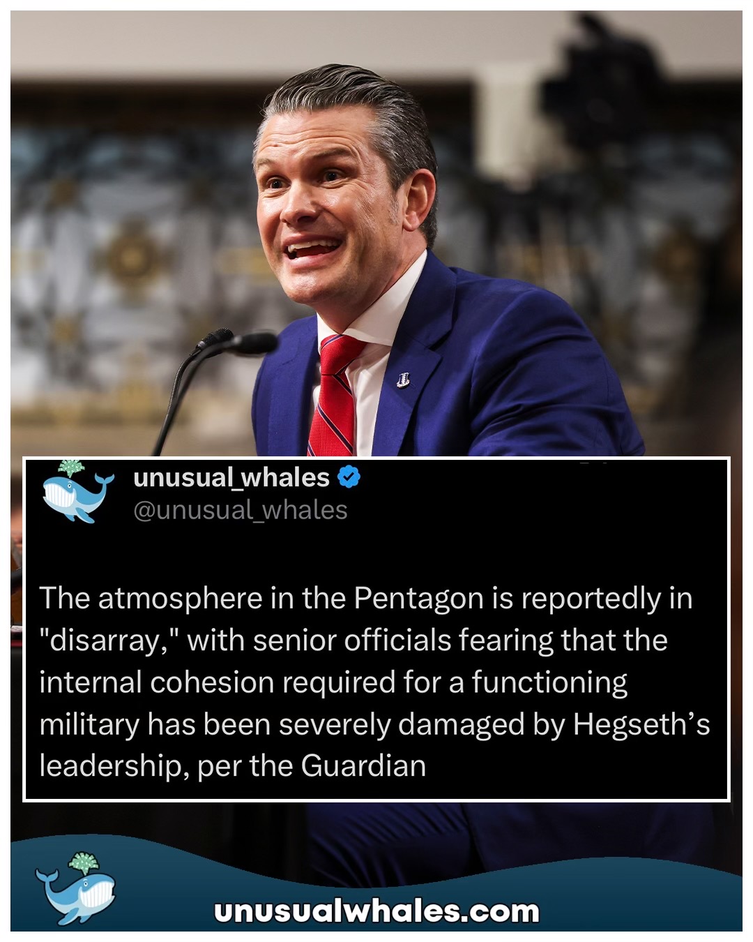 @Unusual Whales
