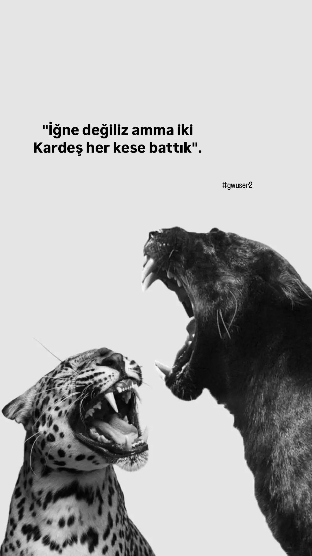 @🇦🇿